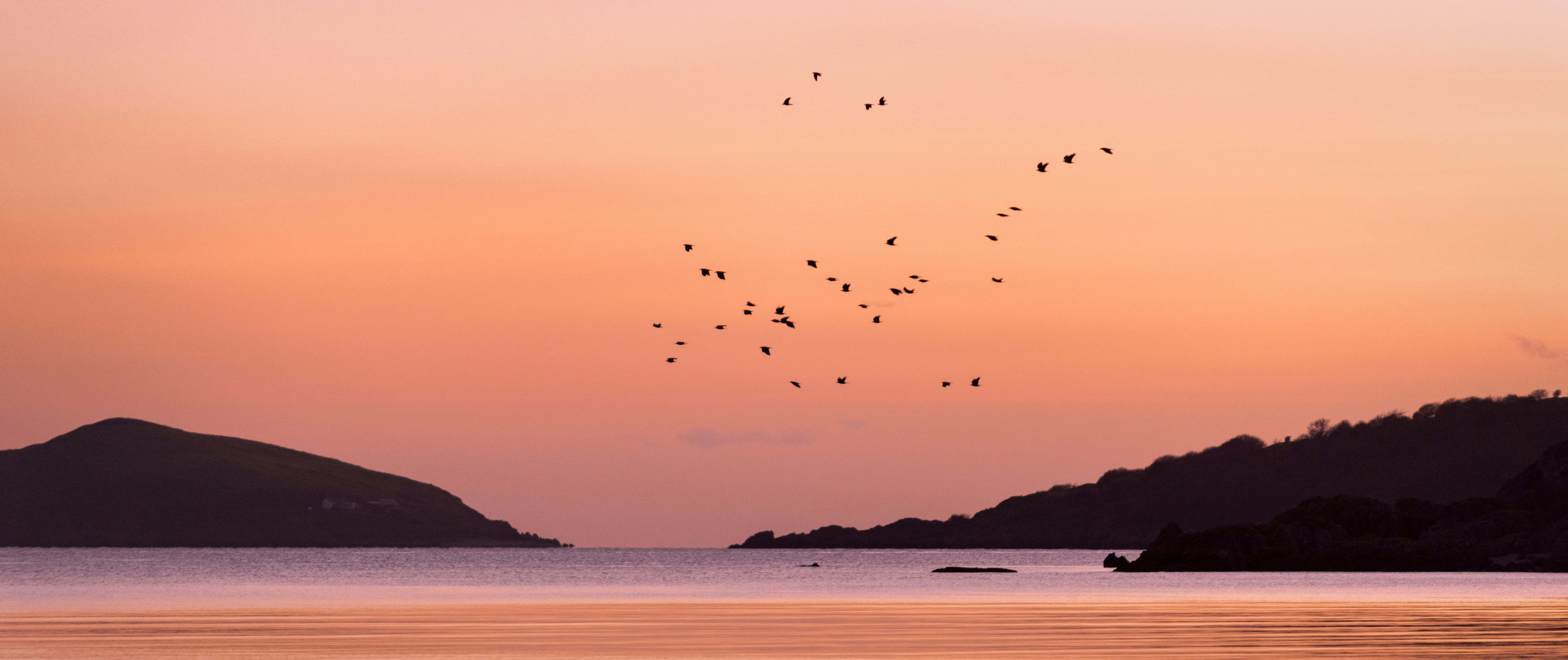 Birds flying over sea with silhouette of mountain during
