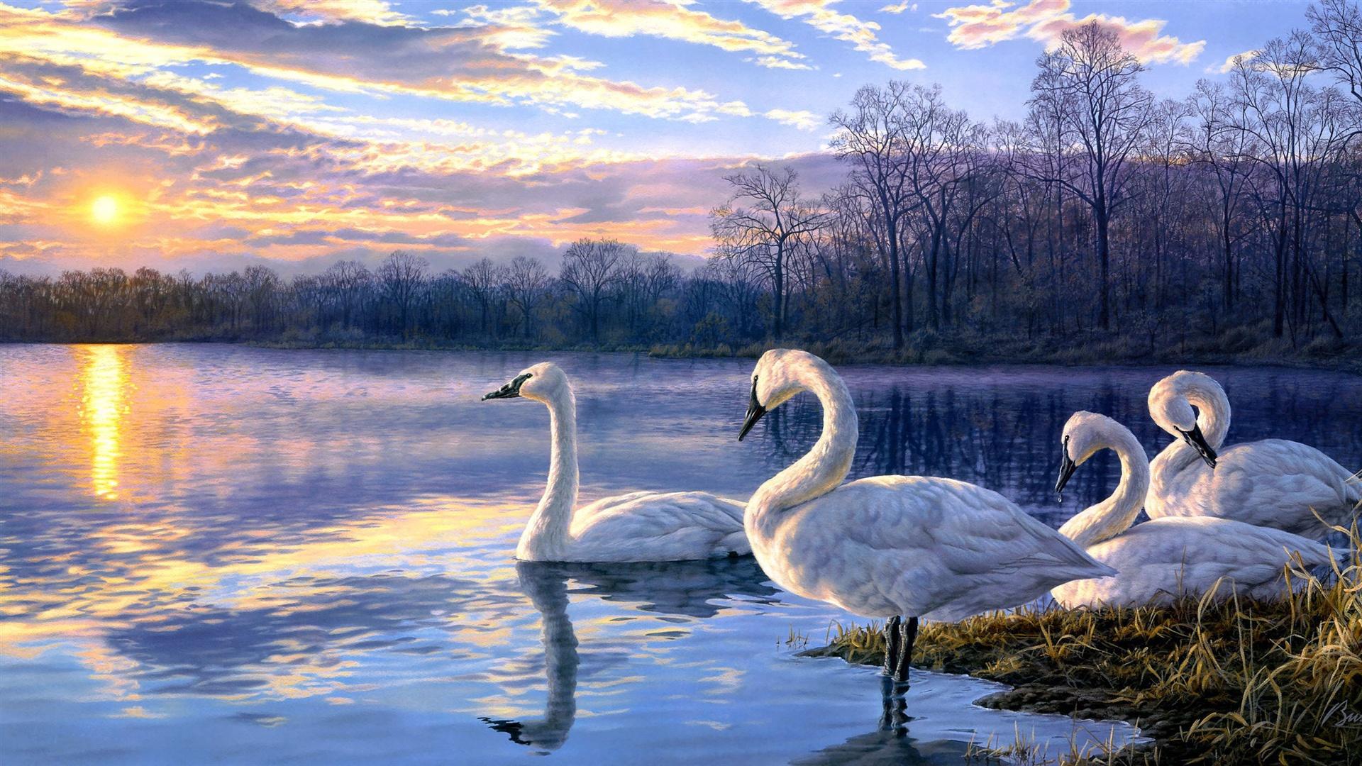 Wallpaper Art painting swan lake sunset landscape 2560x1440 QHD Picture, Image