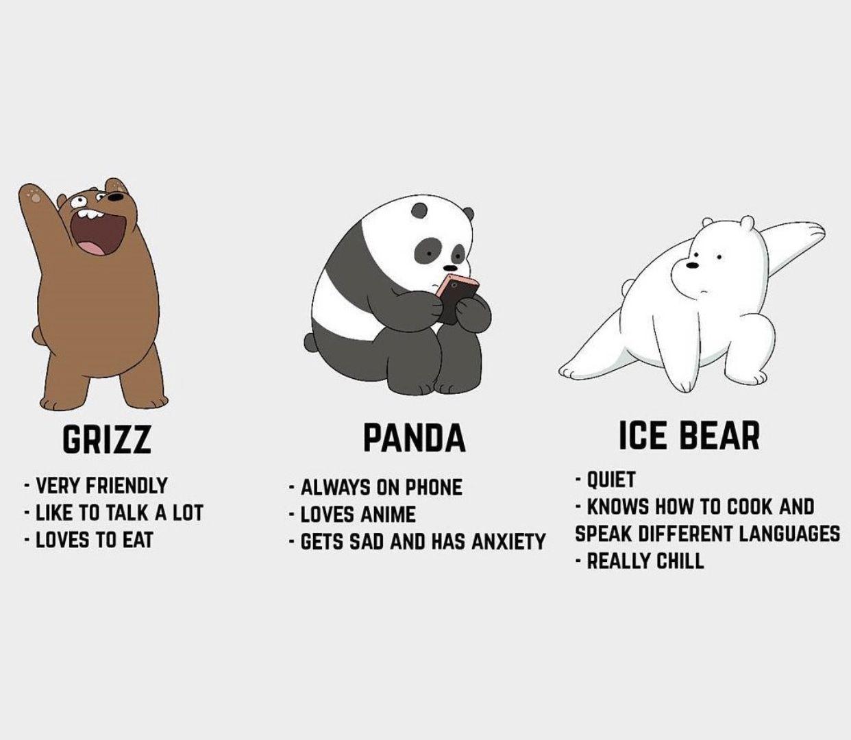ice bear. panda bear. grizzly. we bare bears. Bitty bear