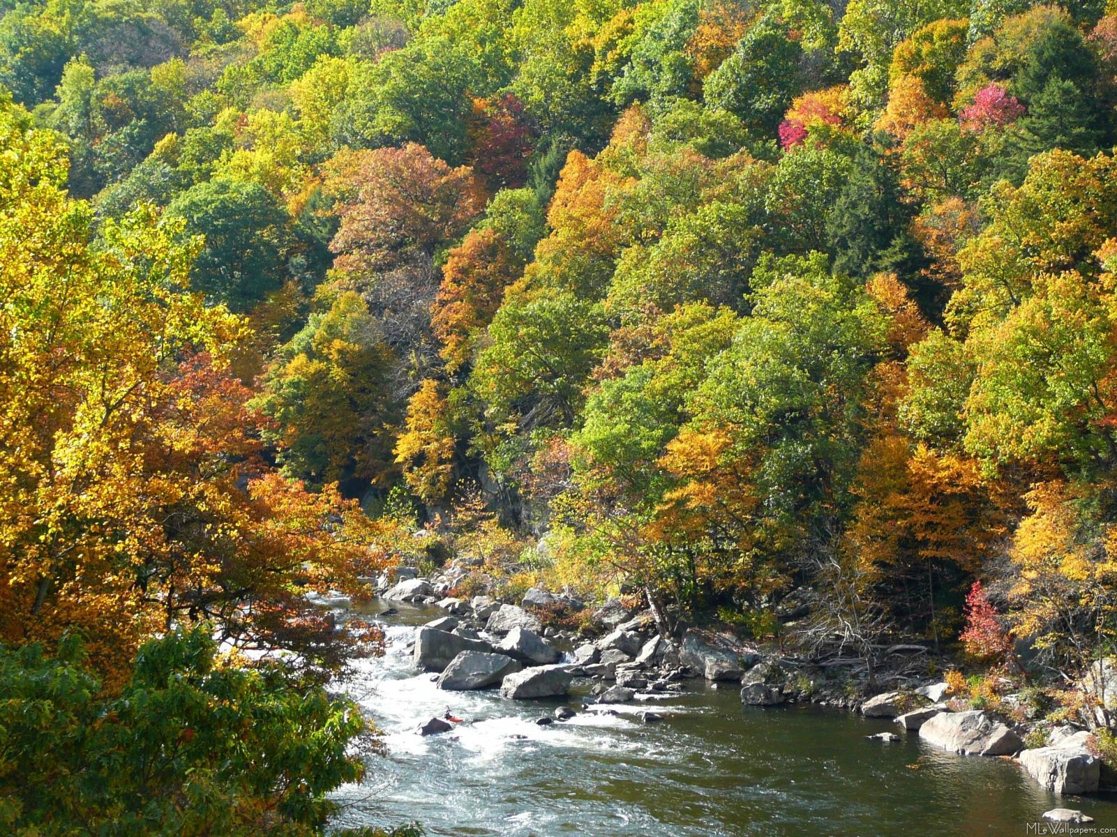 MLe Color at Ohiopyle State Park