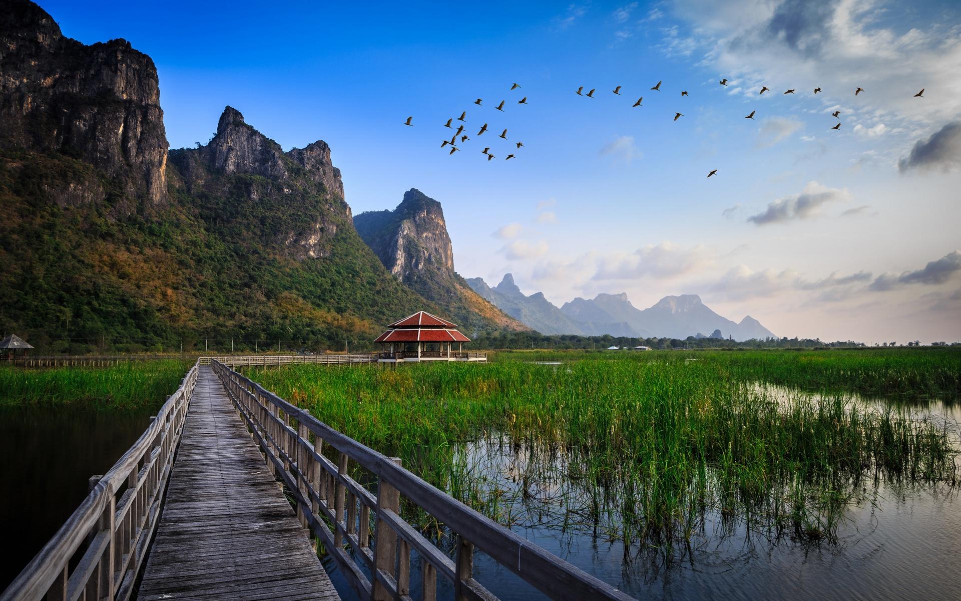Wallpaper Thailand national park, wooden bridge, lake, grass