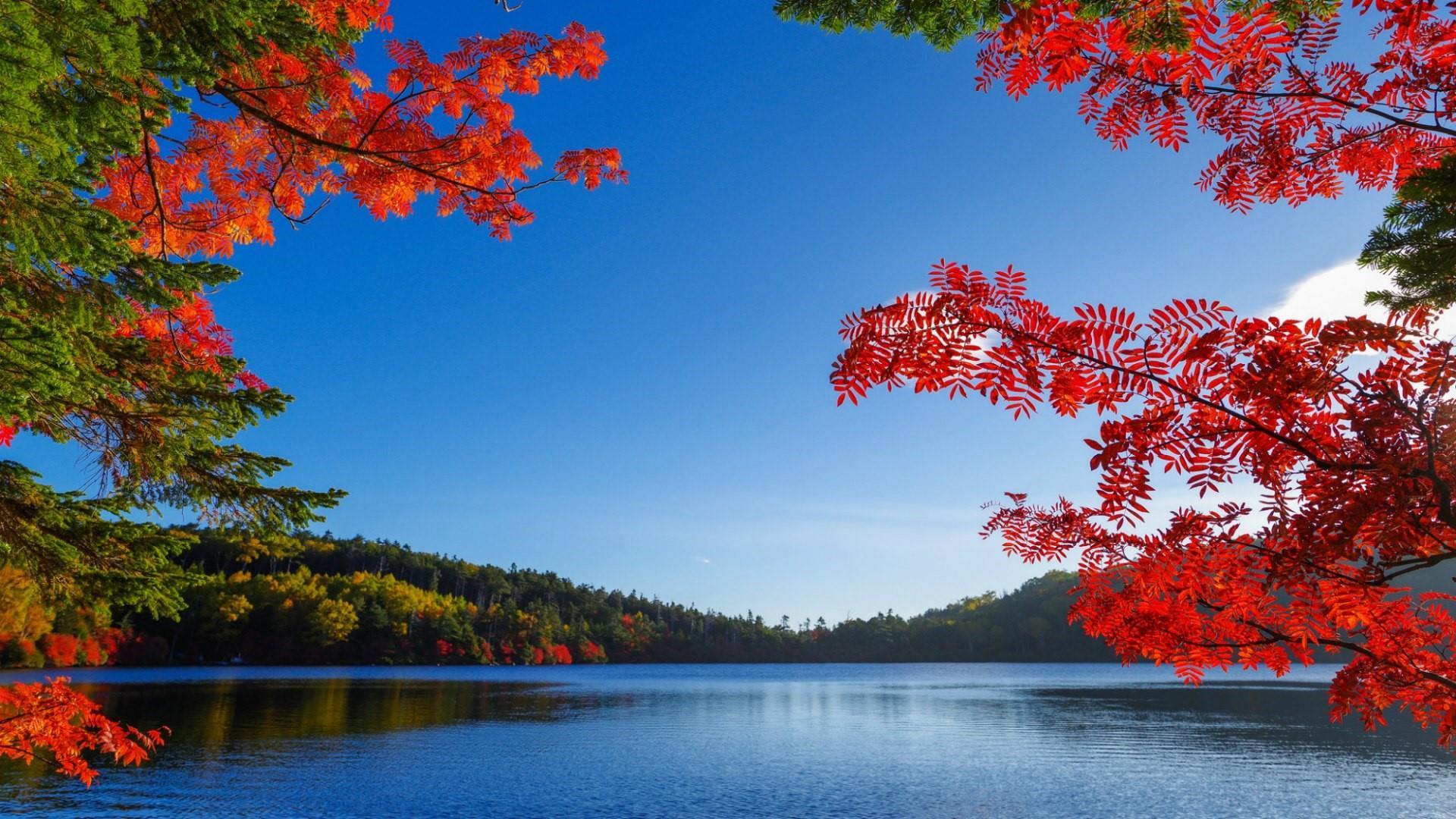Autumn Lake photo wallpaper