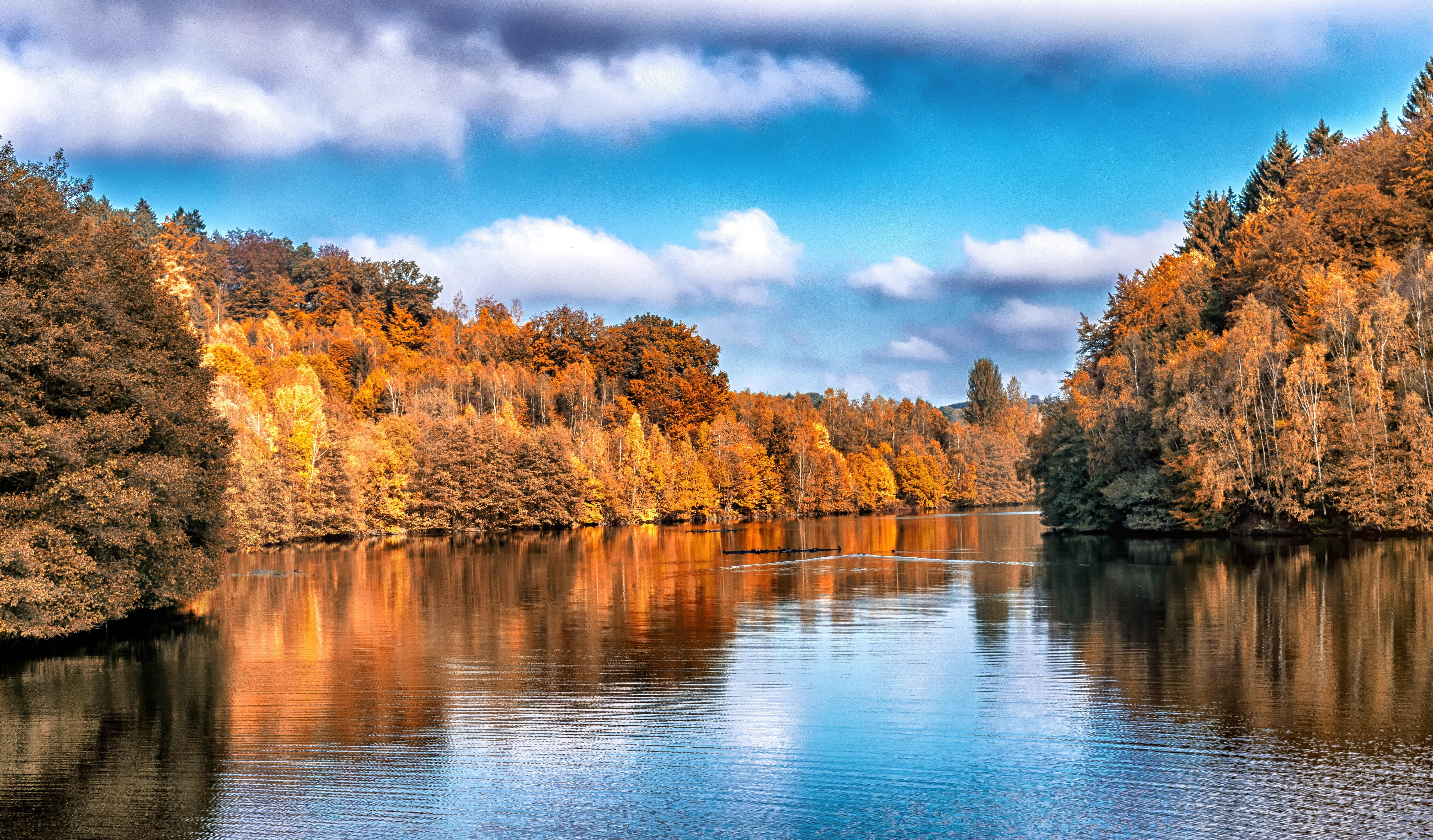 Download wallpaper 6000x3519 autumn, lake, trees, reflection