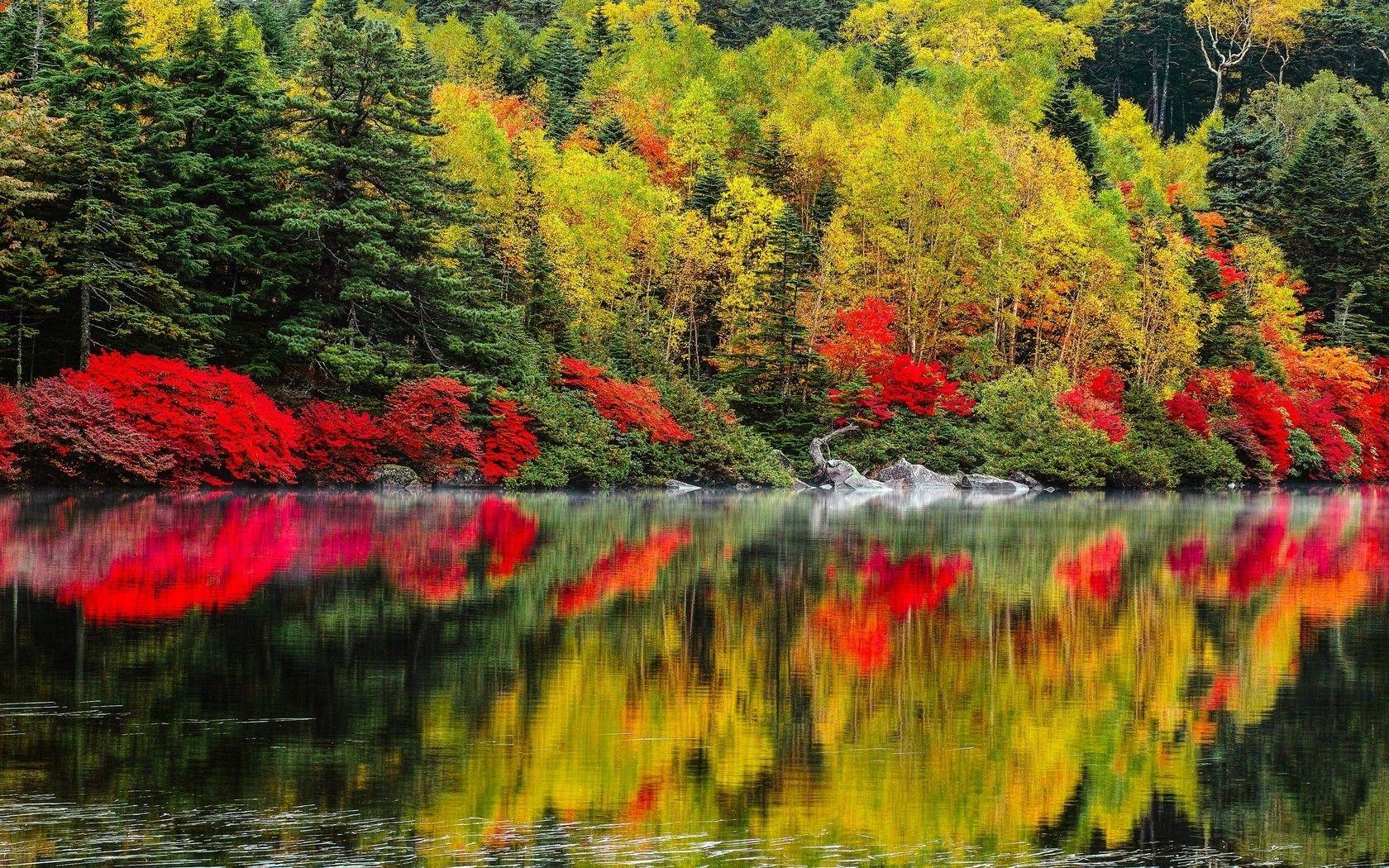 Autumn lake forest wallpaper