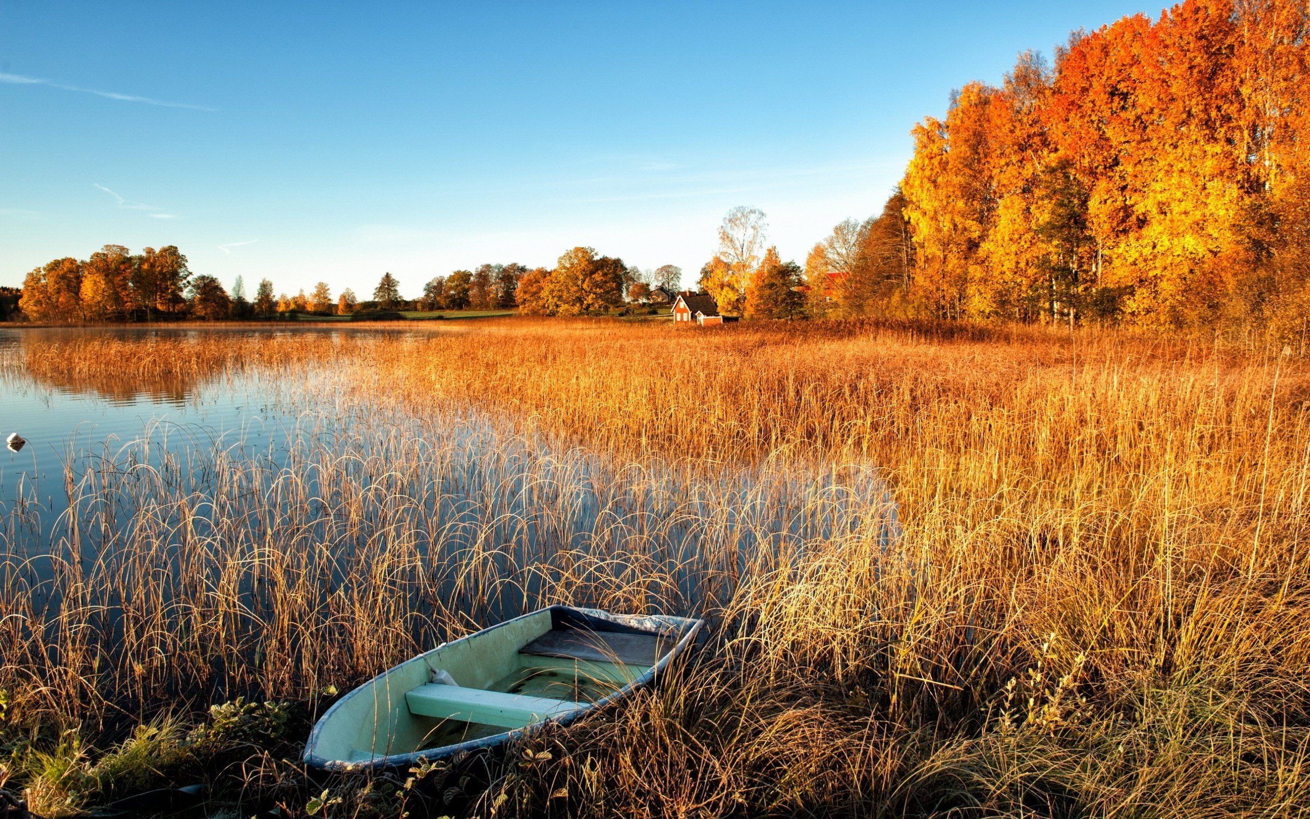 Wallpaper autumn, lake, boat, tree, pond desktop wallpaper
