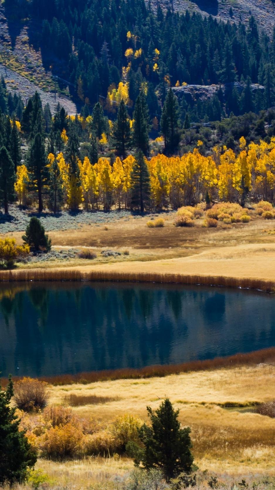 Download wallpaper 938x1668 autumn, lake, trees, mountains