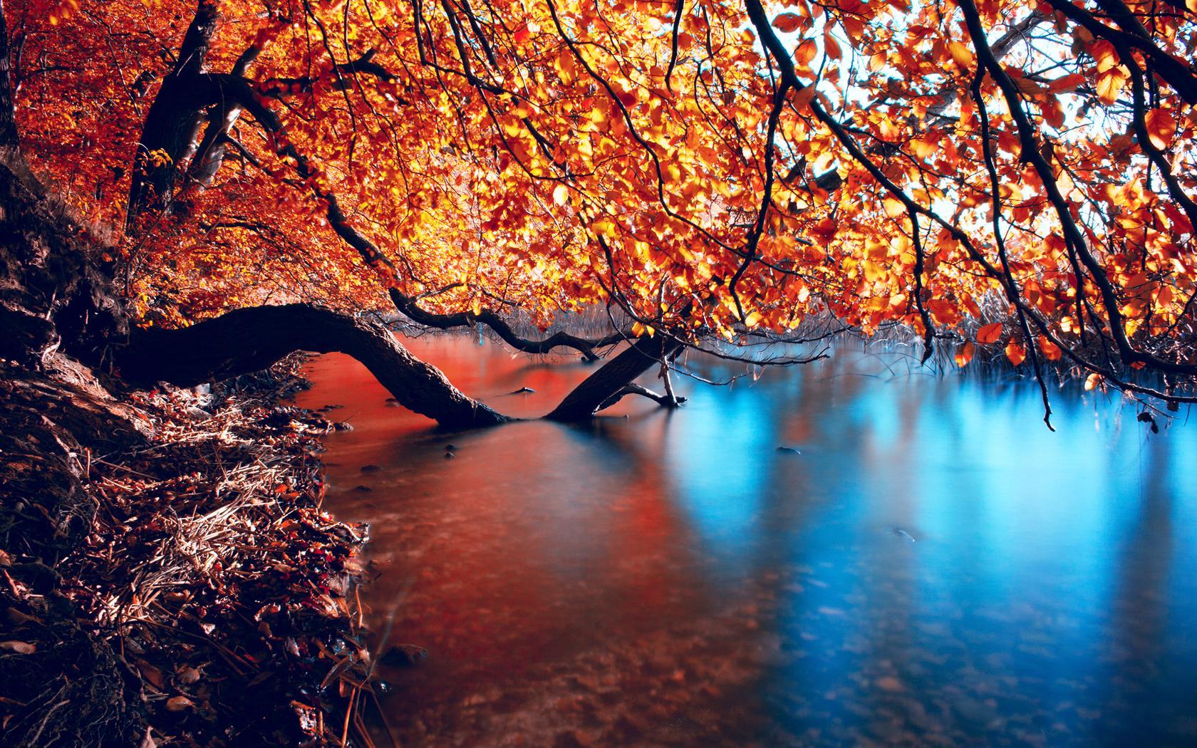 Beautiful Autumn Lake Wallpaper