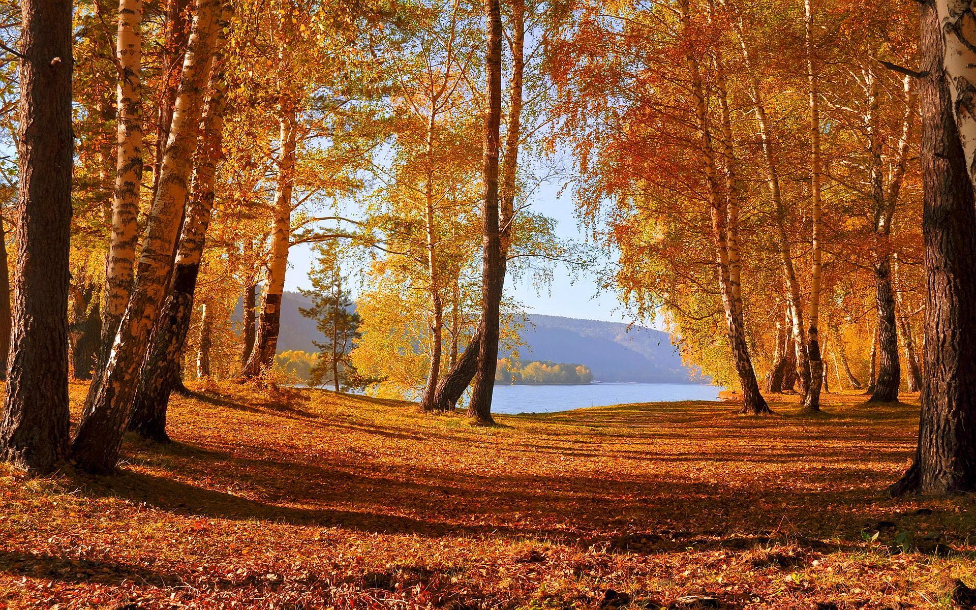 Autumn lake forest wallpaperx1200