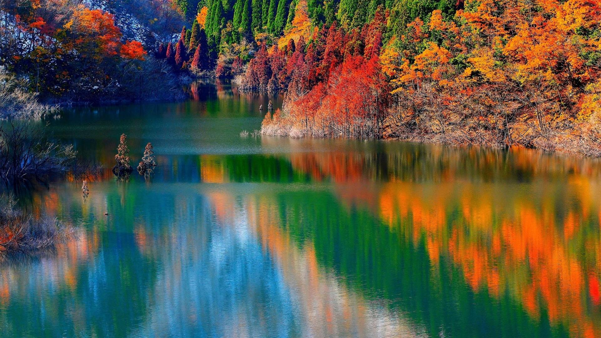 Wallpaper, autumn, lake, forest 645291 2560x1600