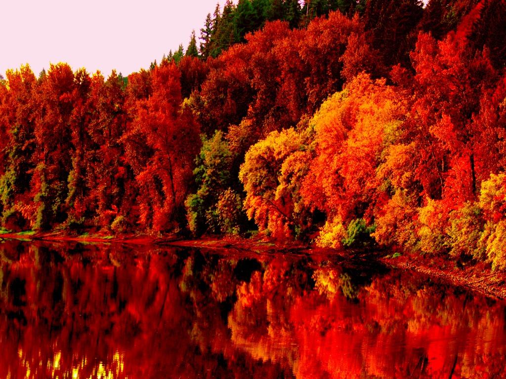 Free download Autumn Lake One HD Wallpaper Picture