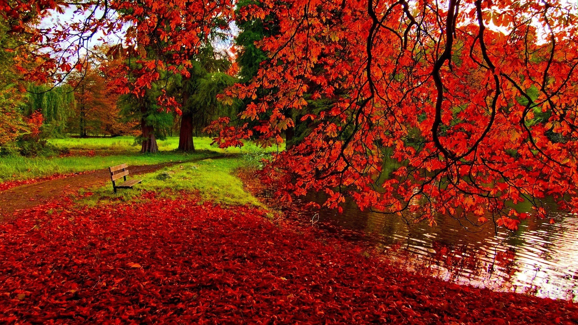 41++ Autumn Wallpaper Windows 10 Free Download