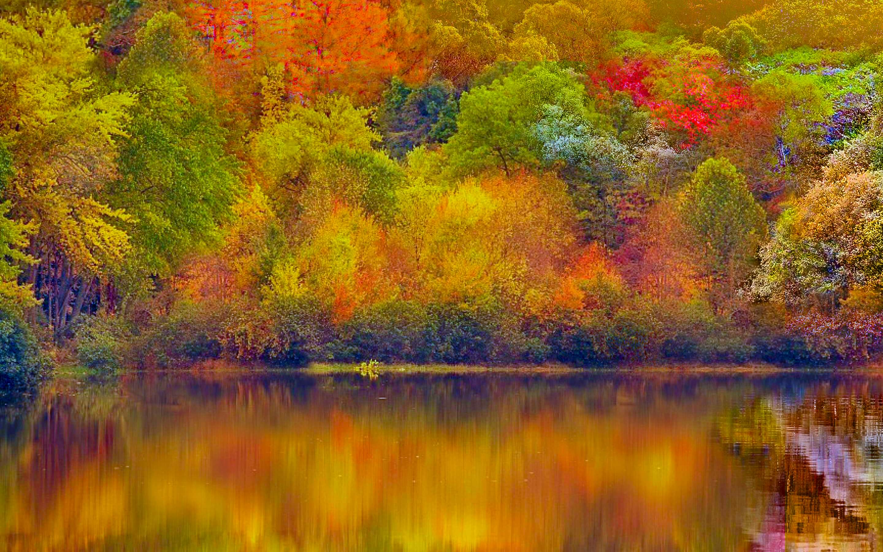 Colourful Autumn Wallpapers - Wallpaper Cave