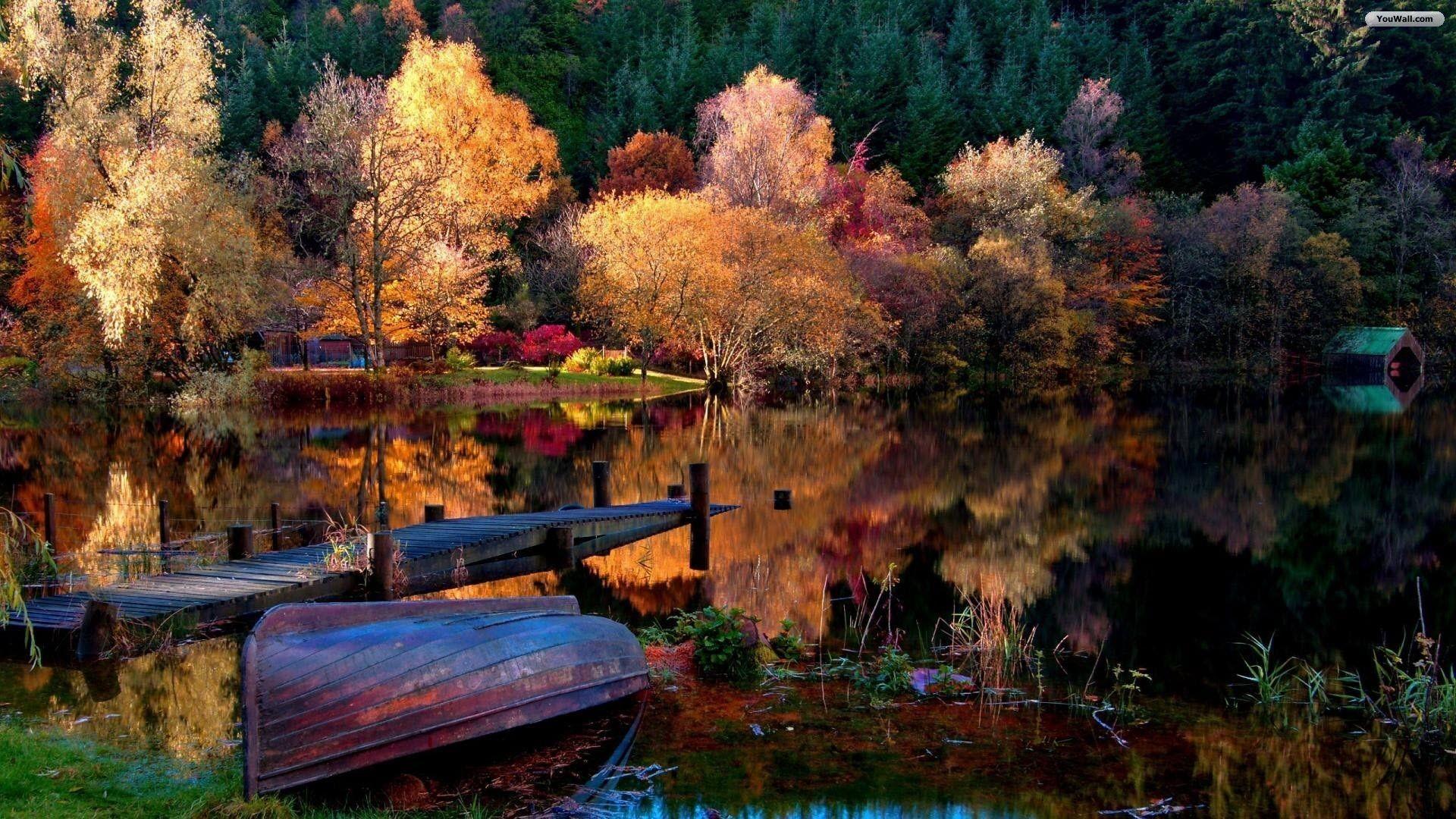 Colourful Autumn forest Reflecting In Calm Lake Wallpaper