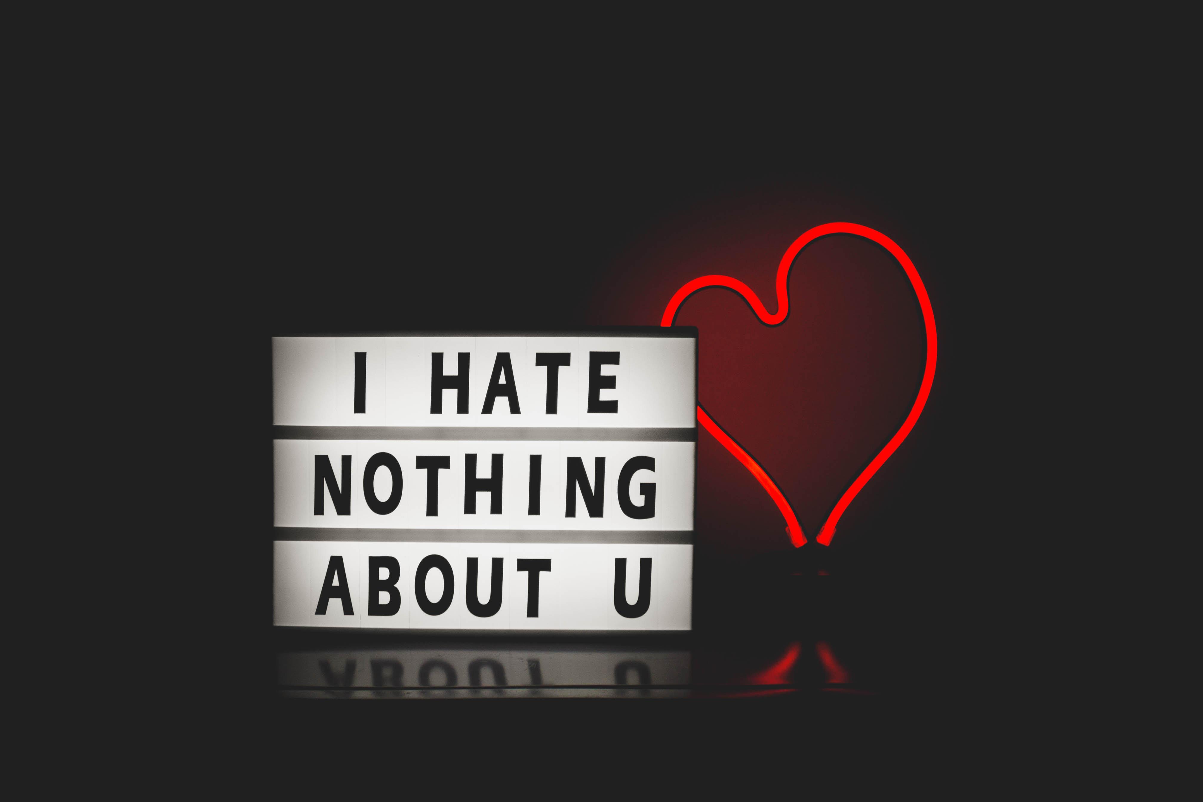 I Hate Nothing About You, HD Typography, 4k Wallpaper