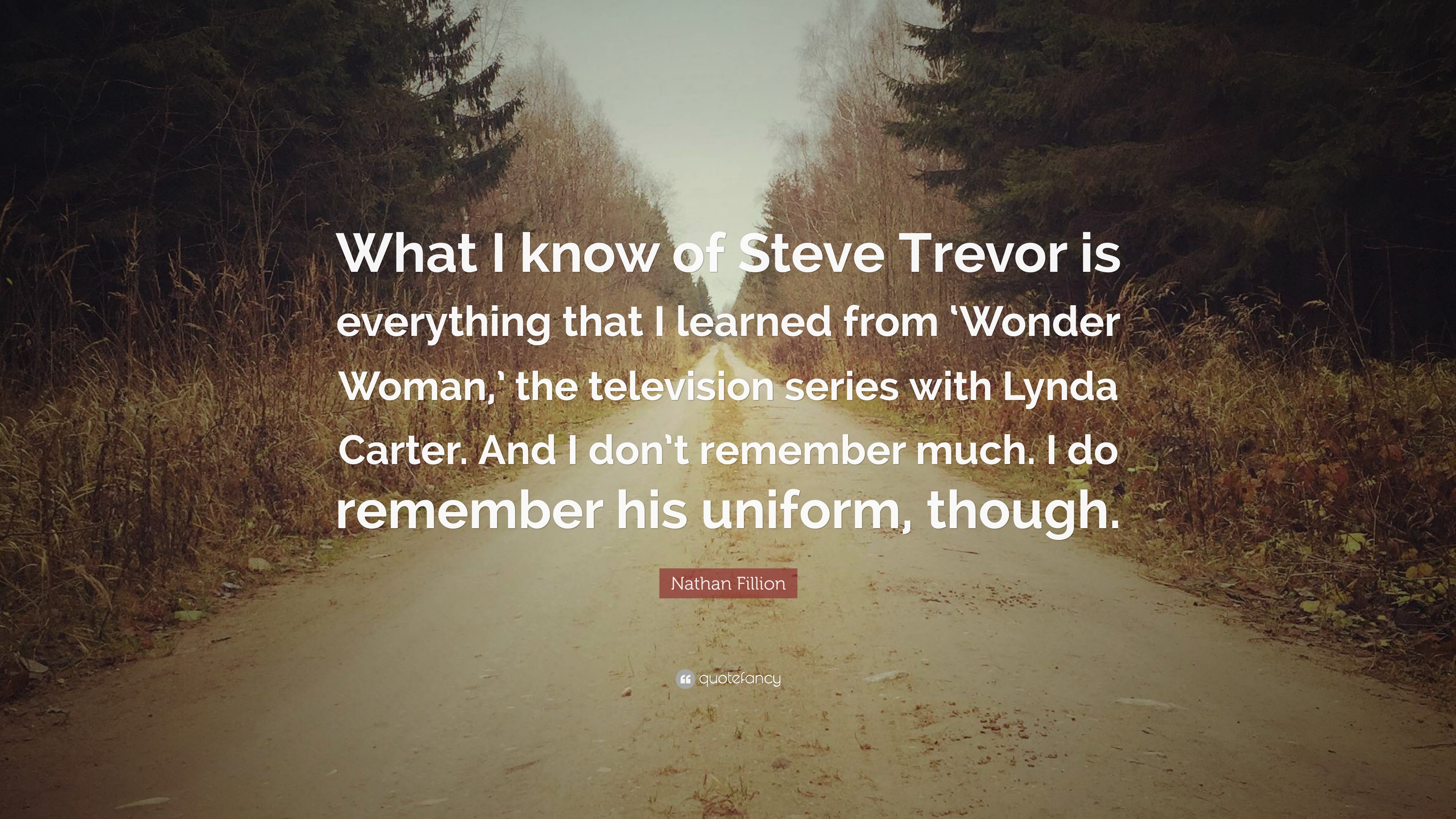 Nathan Fillion Quote: “What I know of Steve Trevor is