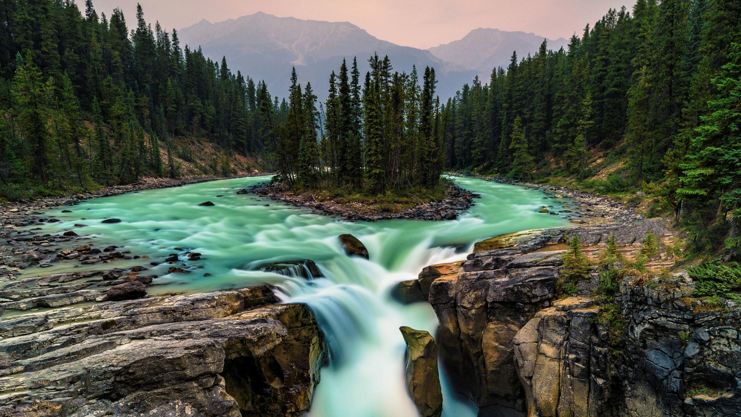 Stream, Nature, Wilderness, National Park Of Canada