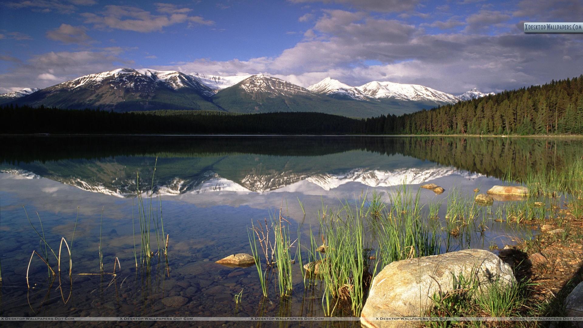 Patricia Lake, Jasper National Park, Alberta, Canada Wallpaper