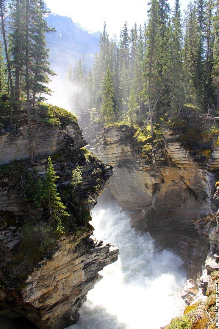Download Jasper national park alberta, canada HD nature