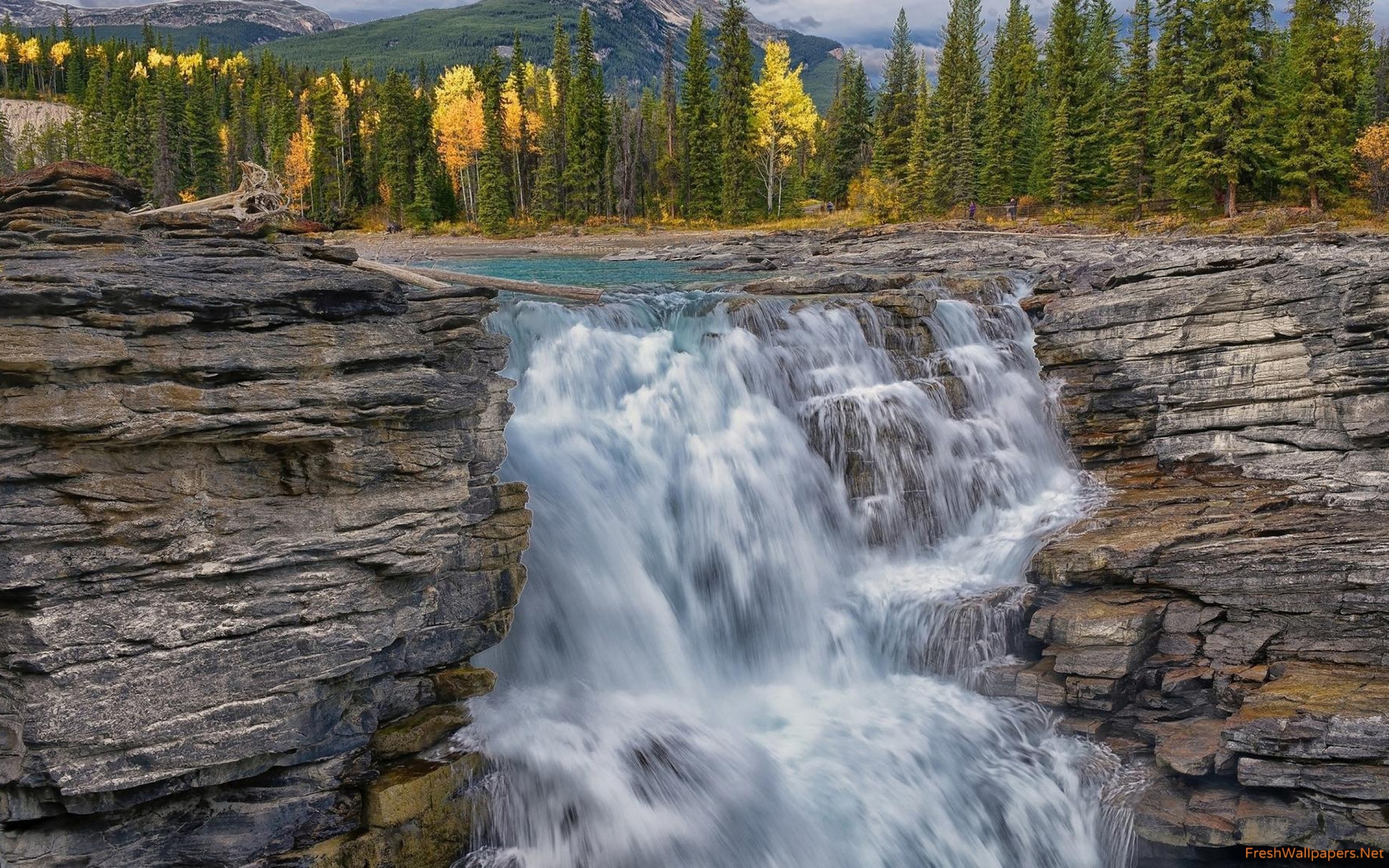 Athabasca Falls in Jasper National Park wallpaper