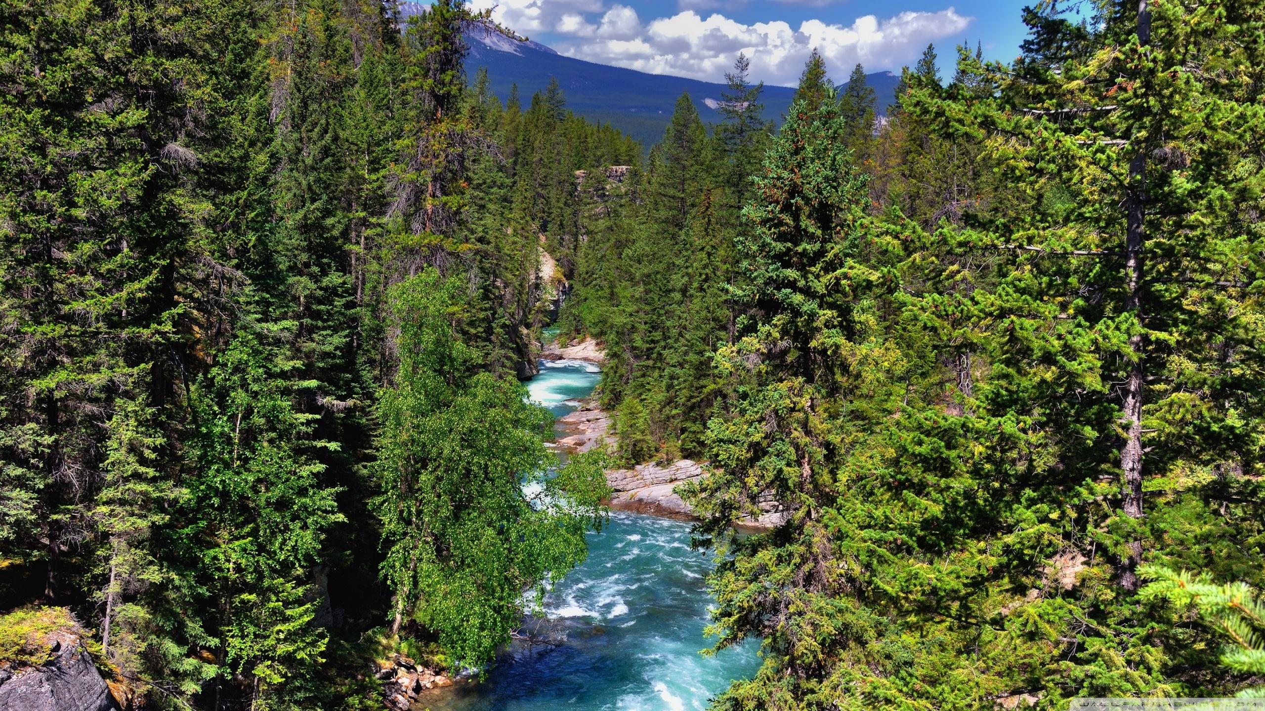 Jasper National Park Alberta Canada River ❤ 4K HD Desktop