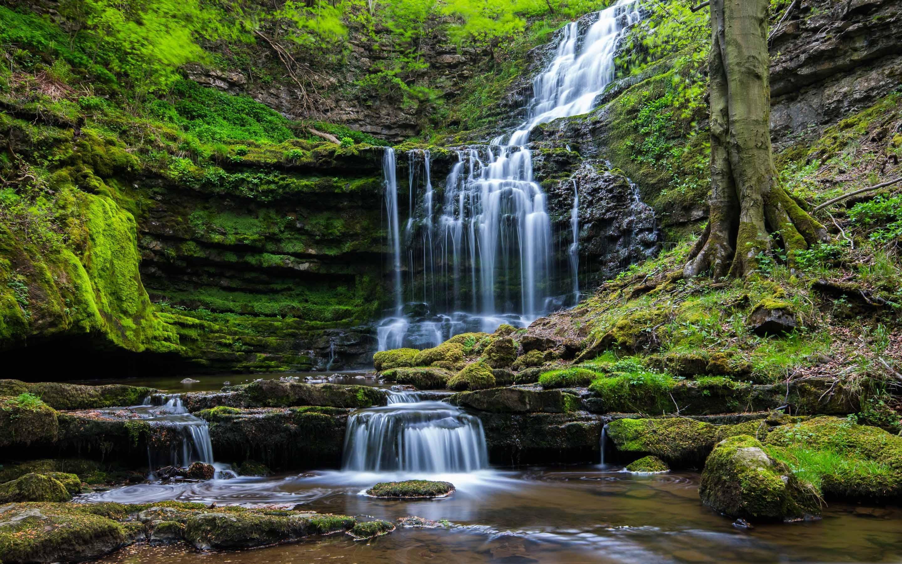 Moss Waterfall Rocks Mac Wallpaper Download. Free Mac