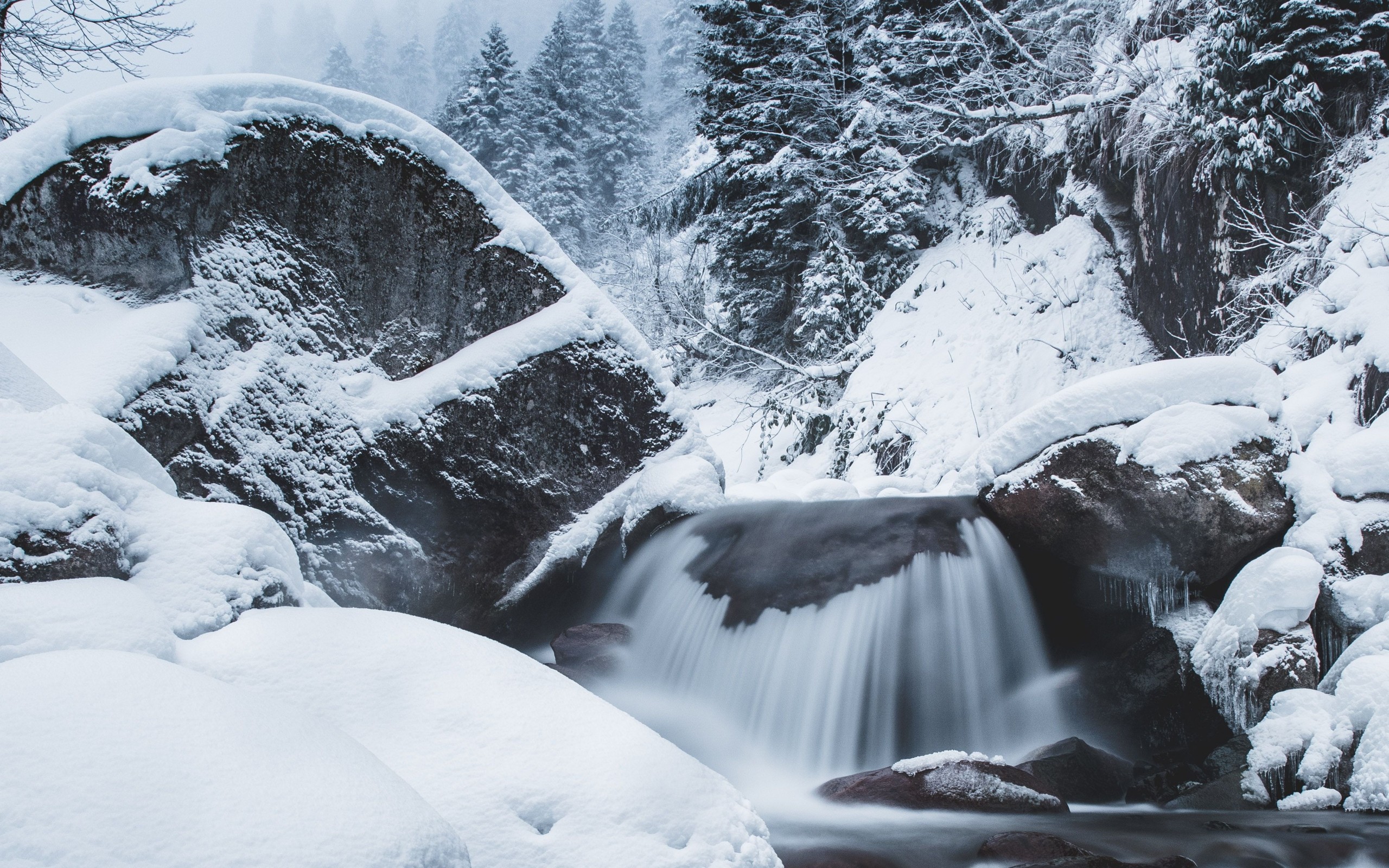 Download 2560x1600 Snow, Rocks, Waterfall, Stream, Winter, Scenic, Foggy, Trees Wallpaper for MacBook Pro 13 inch