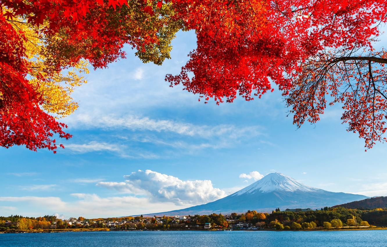 Wallpaper autumn, the sky, leaves, clouds, snow, trees, lake, Japan, mountain, Fuji image for desktop, section пейзажи