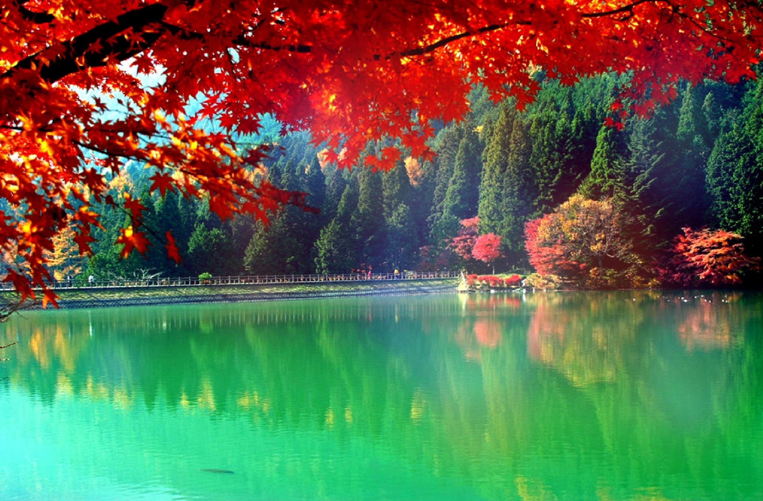 Autumn Japanese Lake Wallpapers Wallpaper Cave