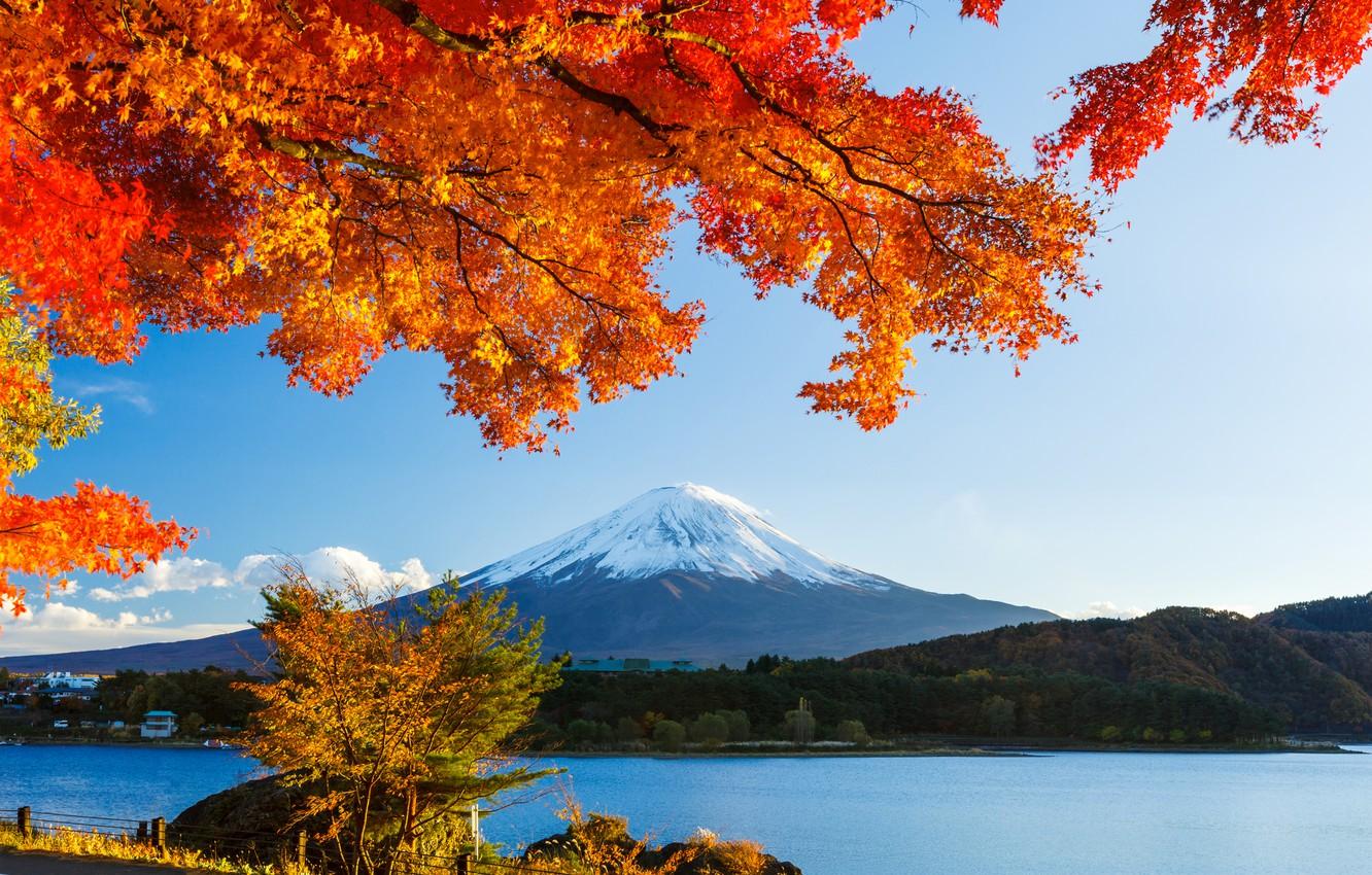 Wallpaper autumn, forest, the sky, leaves, snow, trees, lake, Japan, mountain, Fuji image for desktop, section пейзажи
