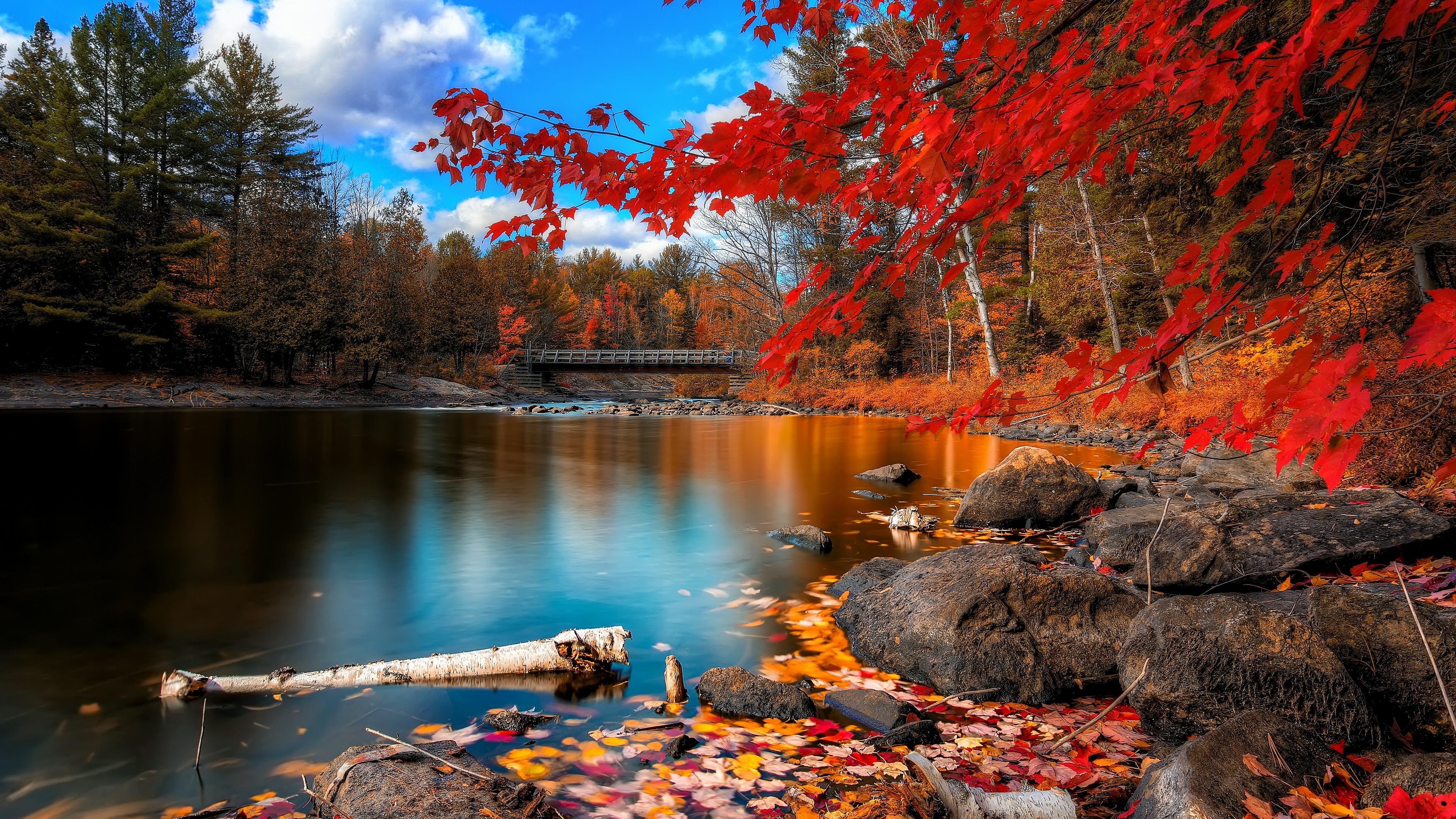 Wallpaper autumn forest, 4k, HD wallpaper, leaves, trees, lake, rocks, beach, bridge, sky, clouds, Nature