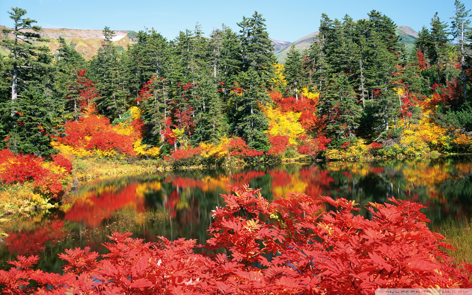 Autumn, Japan ❤ 4K HD Desktop Wallpaper for 4K Ultra HD TV