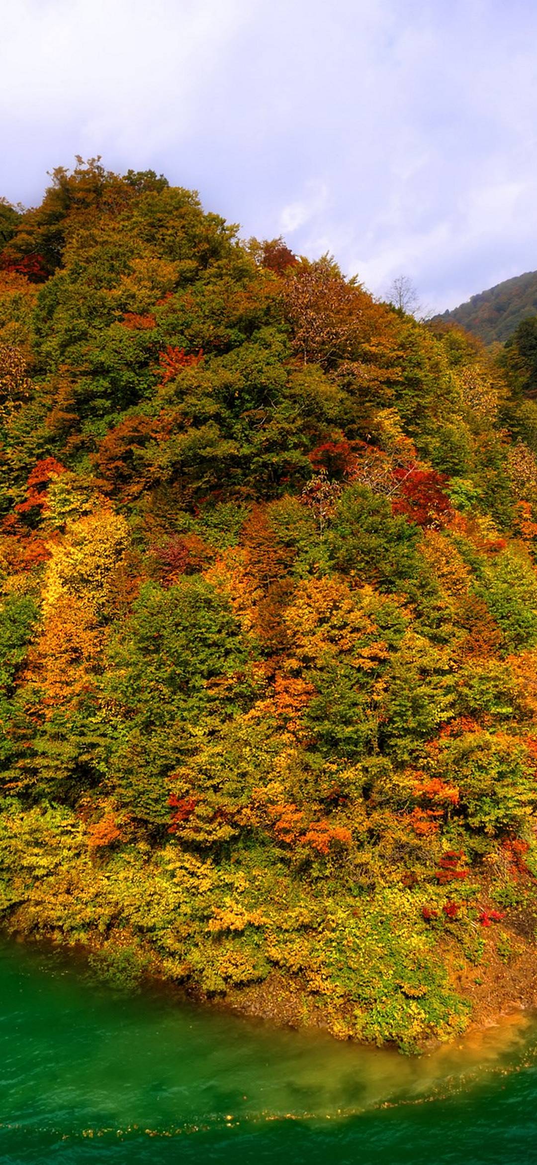 Mountains Japan Fall Forest Lake Autumn - [1080x2340]