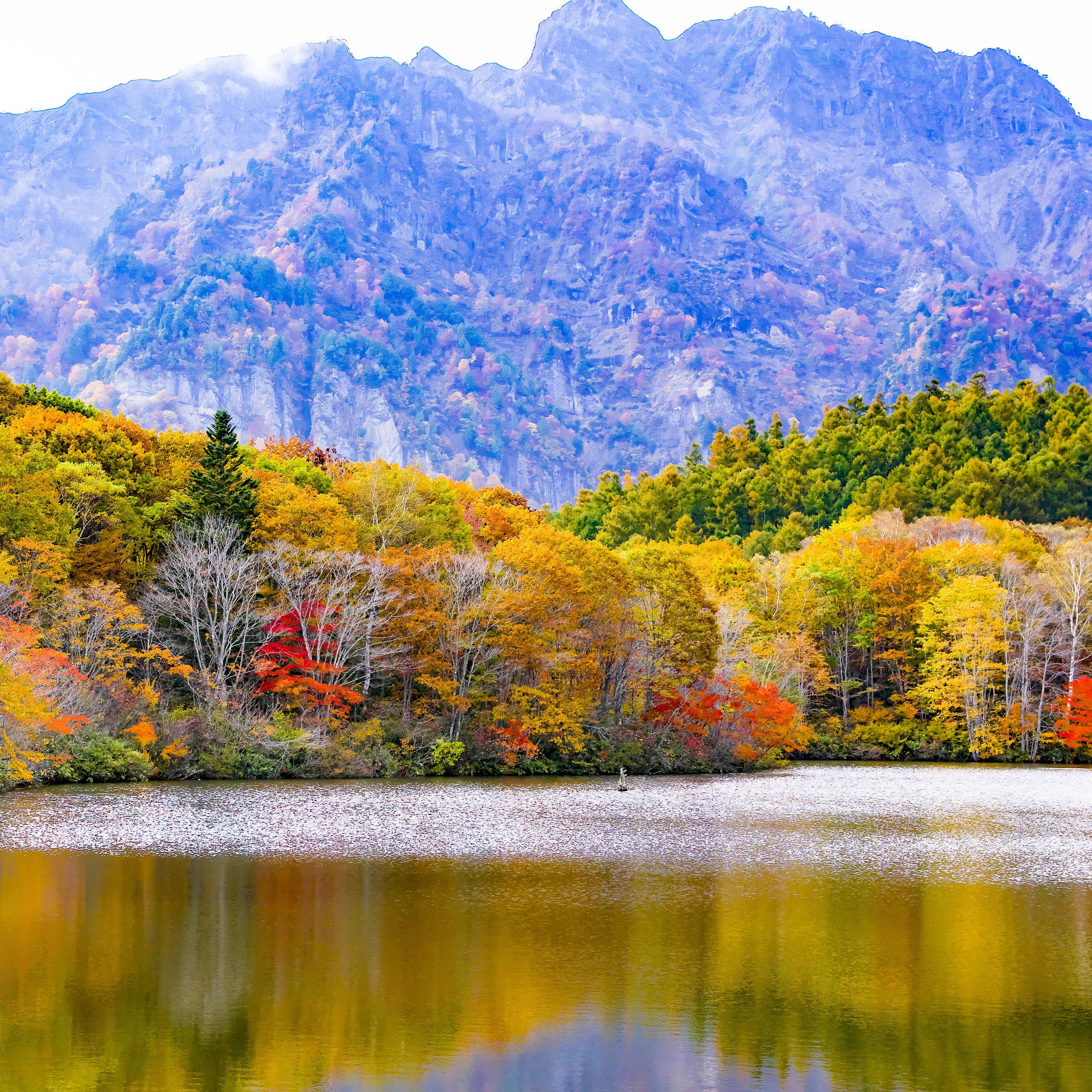 Download wallpaper 3415x3415 japan, togakushi, lake, mountains, trees, autumn ipad pro 12.9 retina for parallax HD background