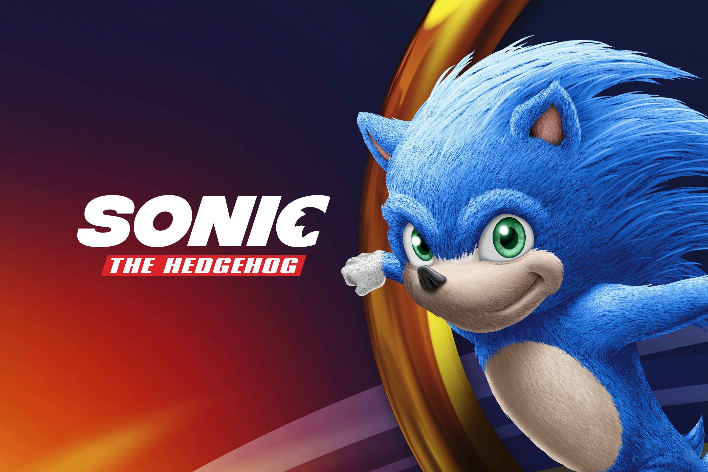 Sonic The Hedgehog Movie 2019 Wallpaper