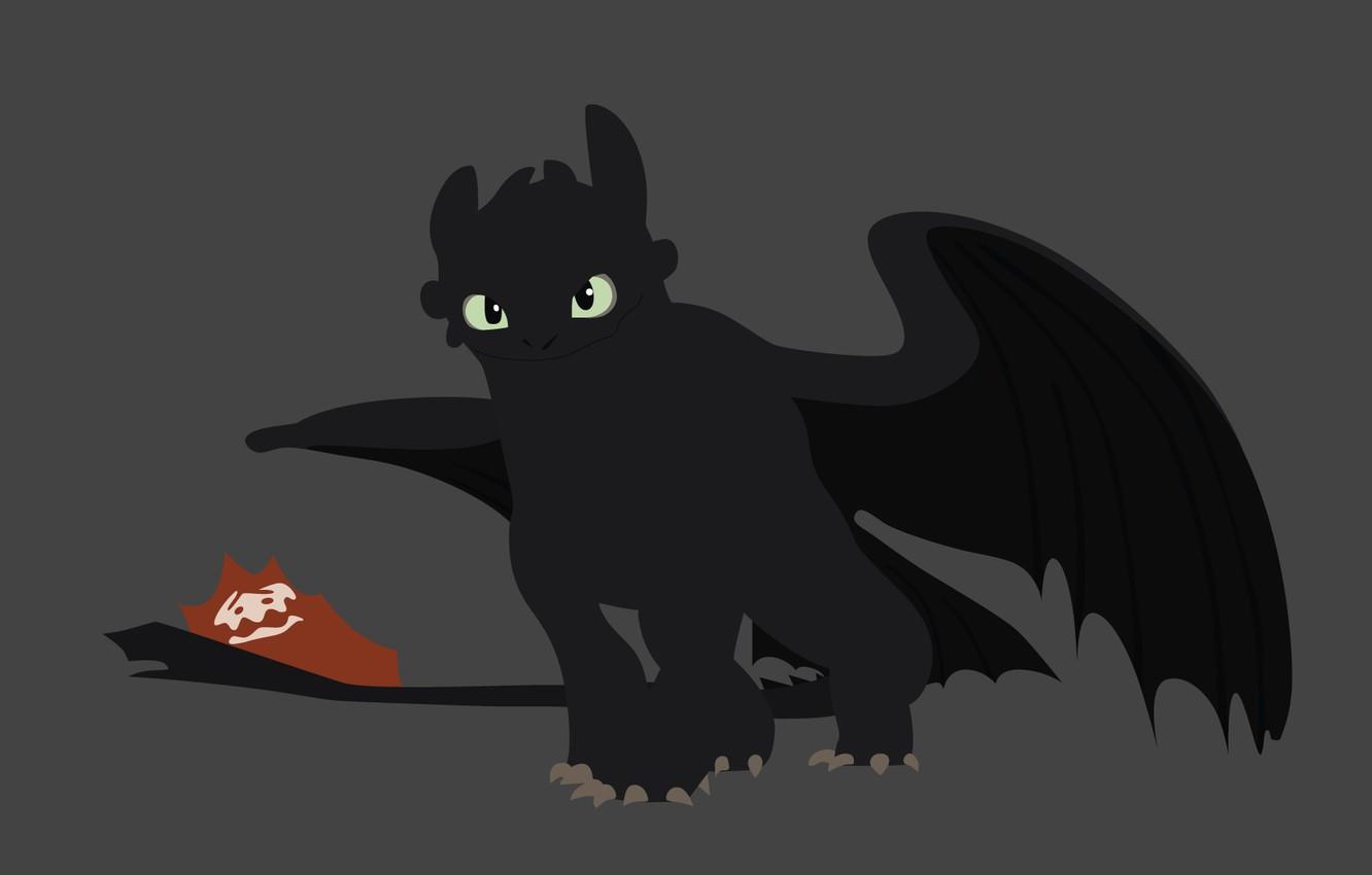 Toothless How To Train Your Dragon Wallpaper