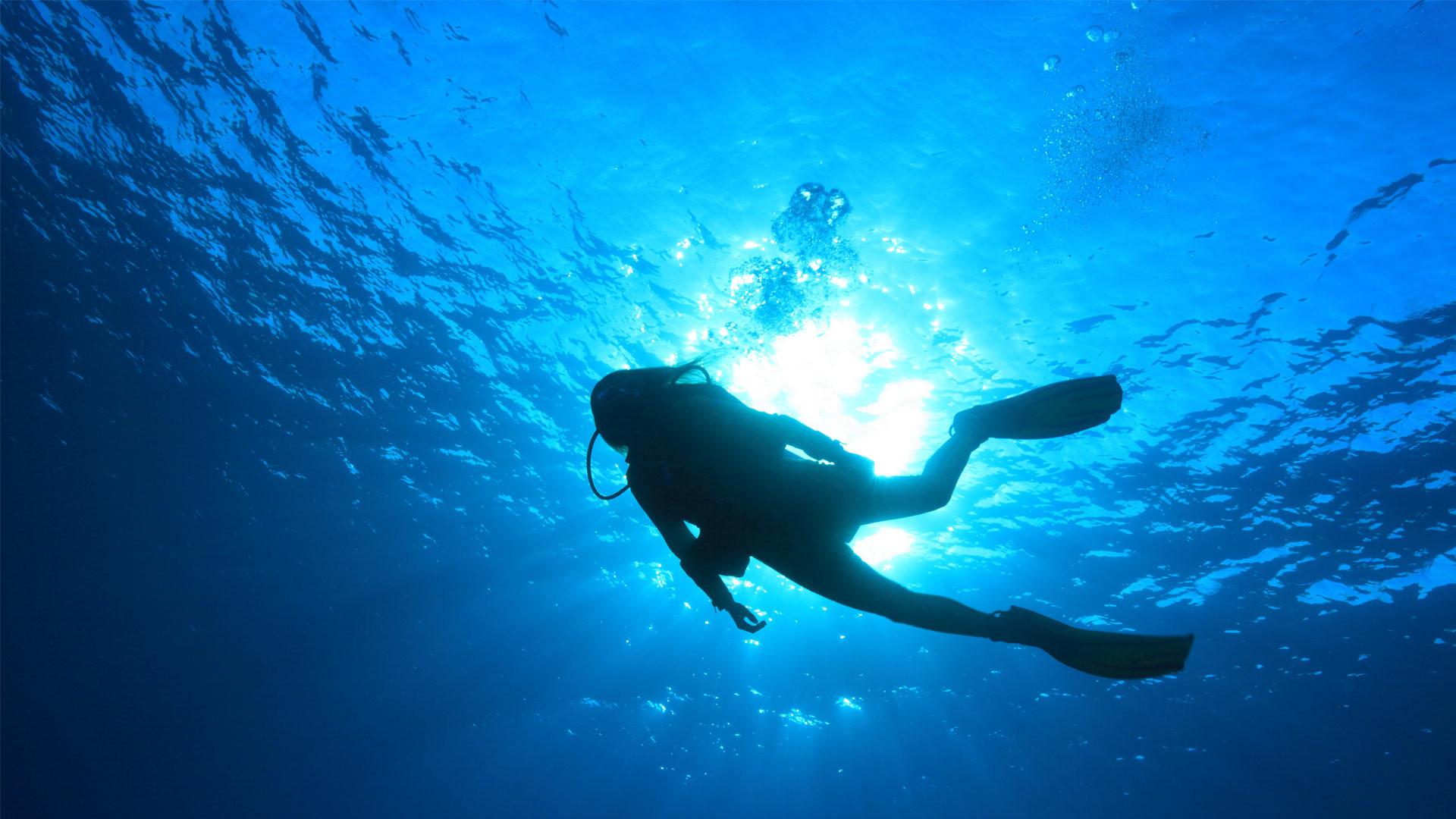 Scuba Diving Wallpaper