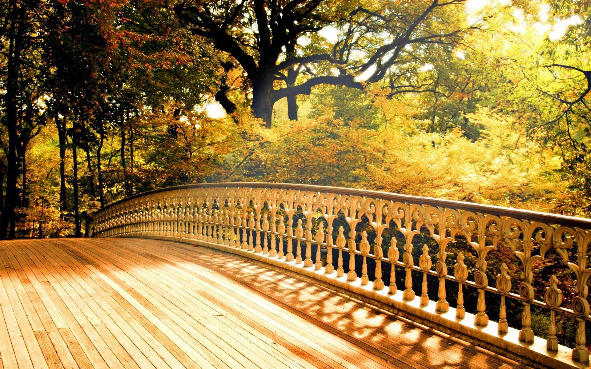 Wooden bridge to the sea Wallpaper