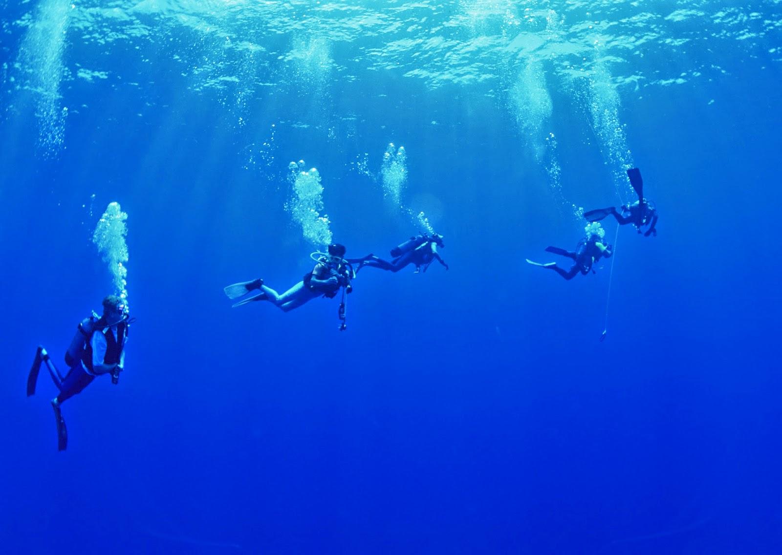 Scuba Diving Wallpaper