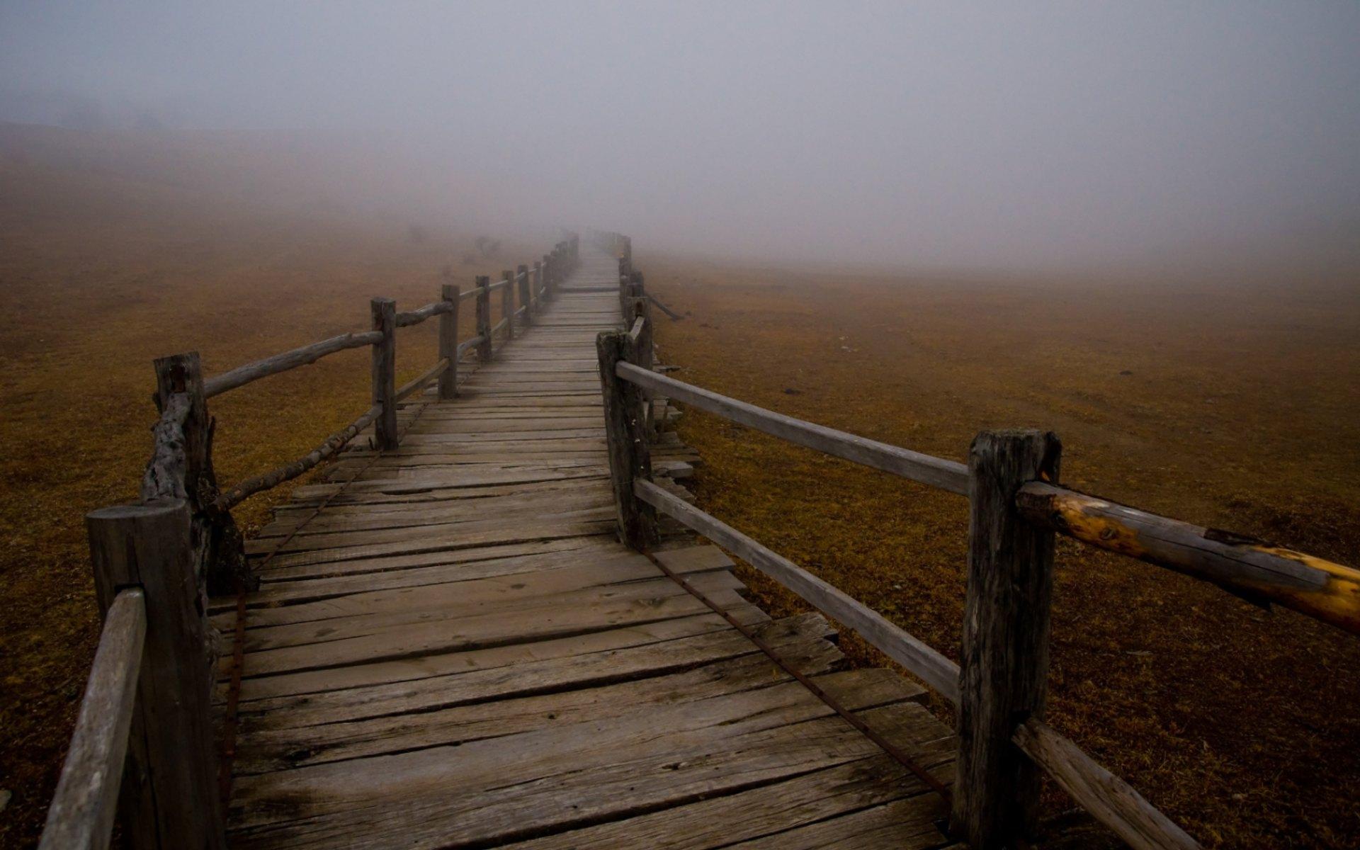 fog, mist, Wooden Bridge wallpaper