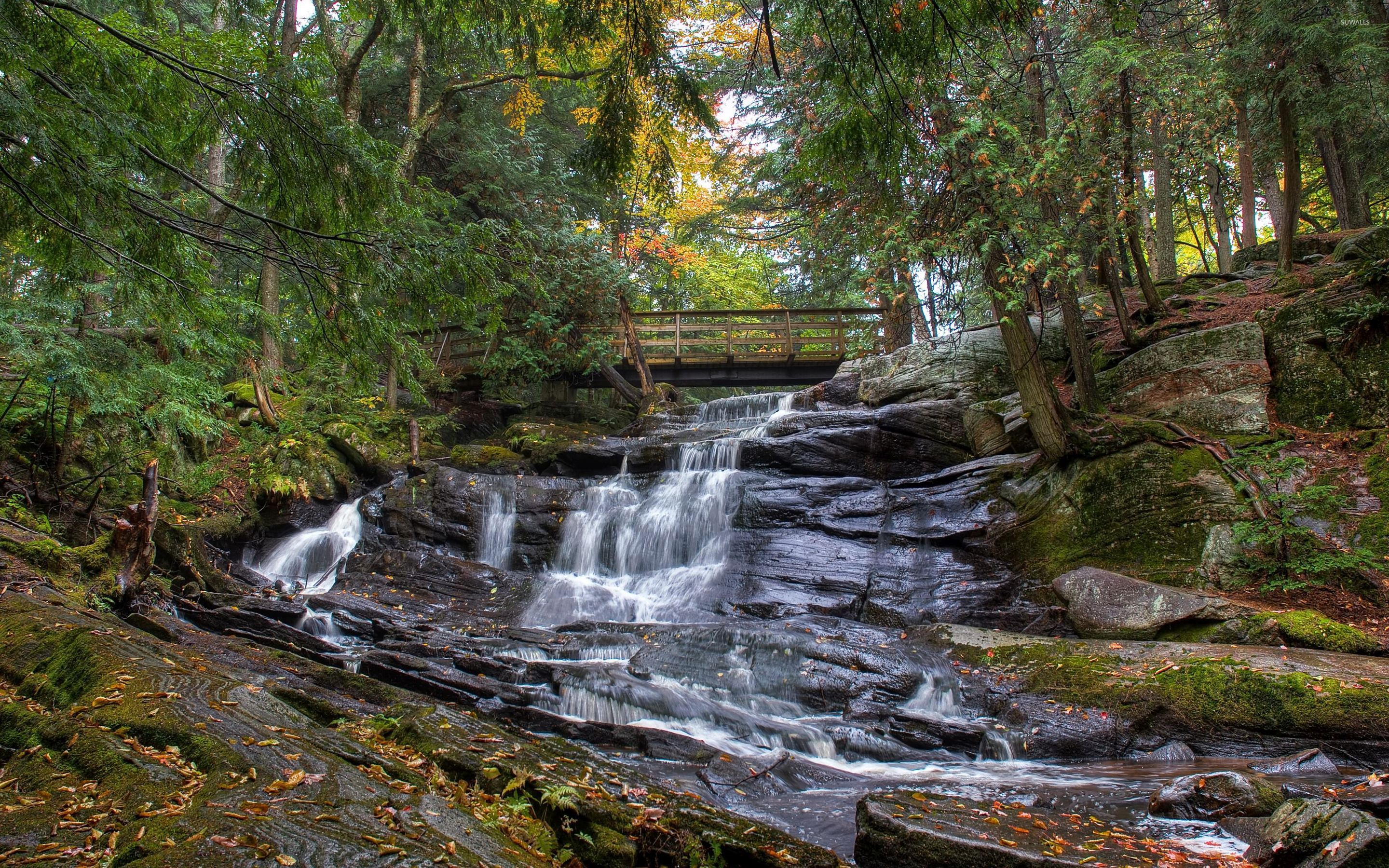 Waterfall under the wooden bridge wallpaper