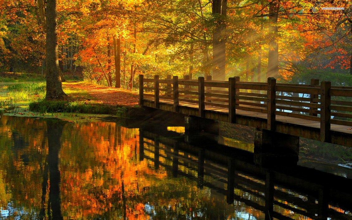 Wooden bridge over the river autumn day