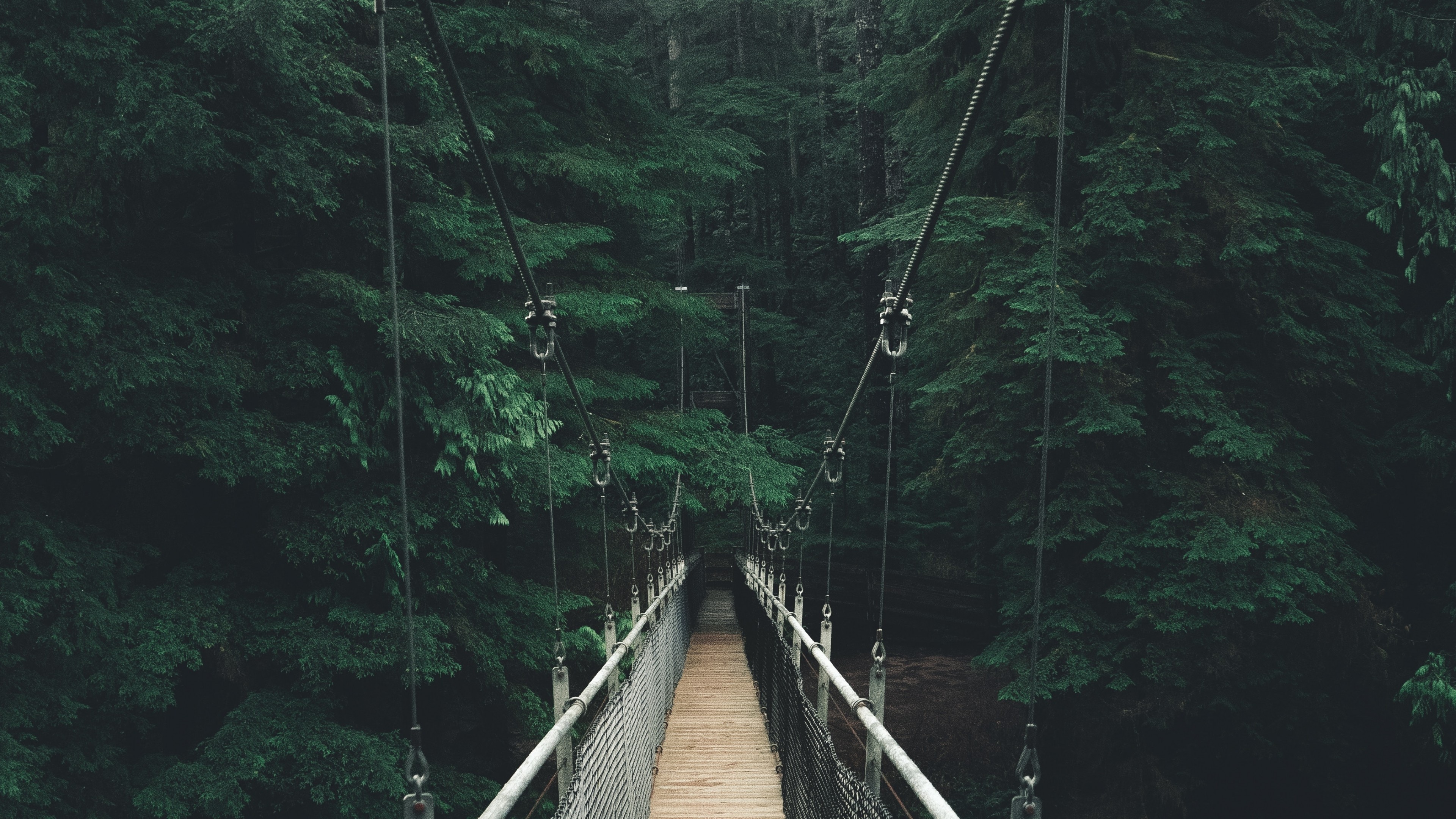 Download 3840x2160 Wooden Bridge, Forest, Trees, Rope