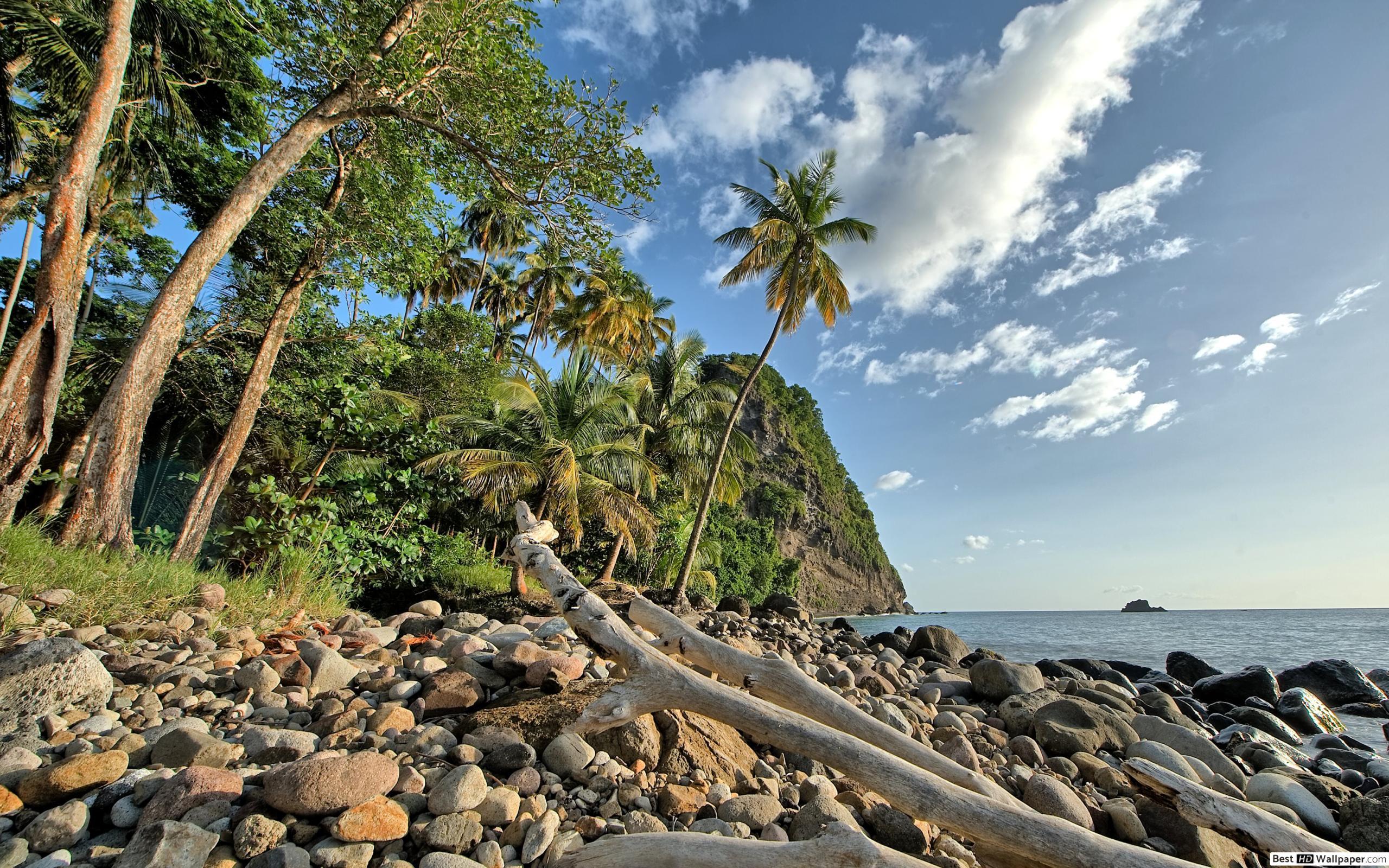 Beachfront Wallpapers - Wallpaper Cave