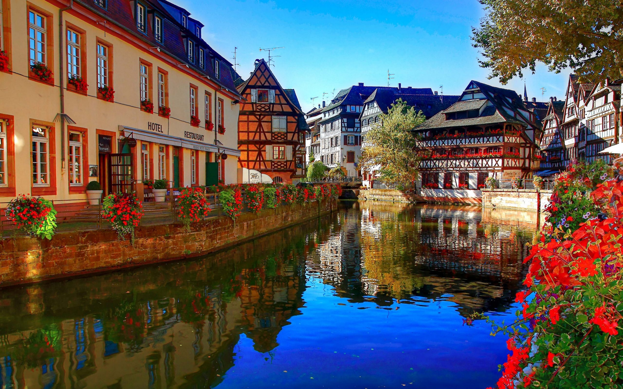 Download Wallpaper Strasbourg, Alsace, France 2560x1600
