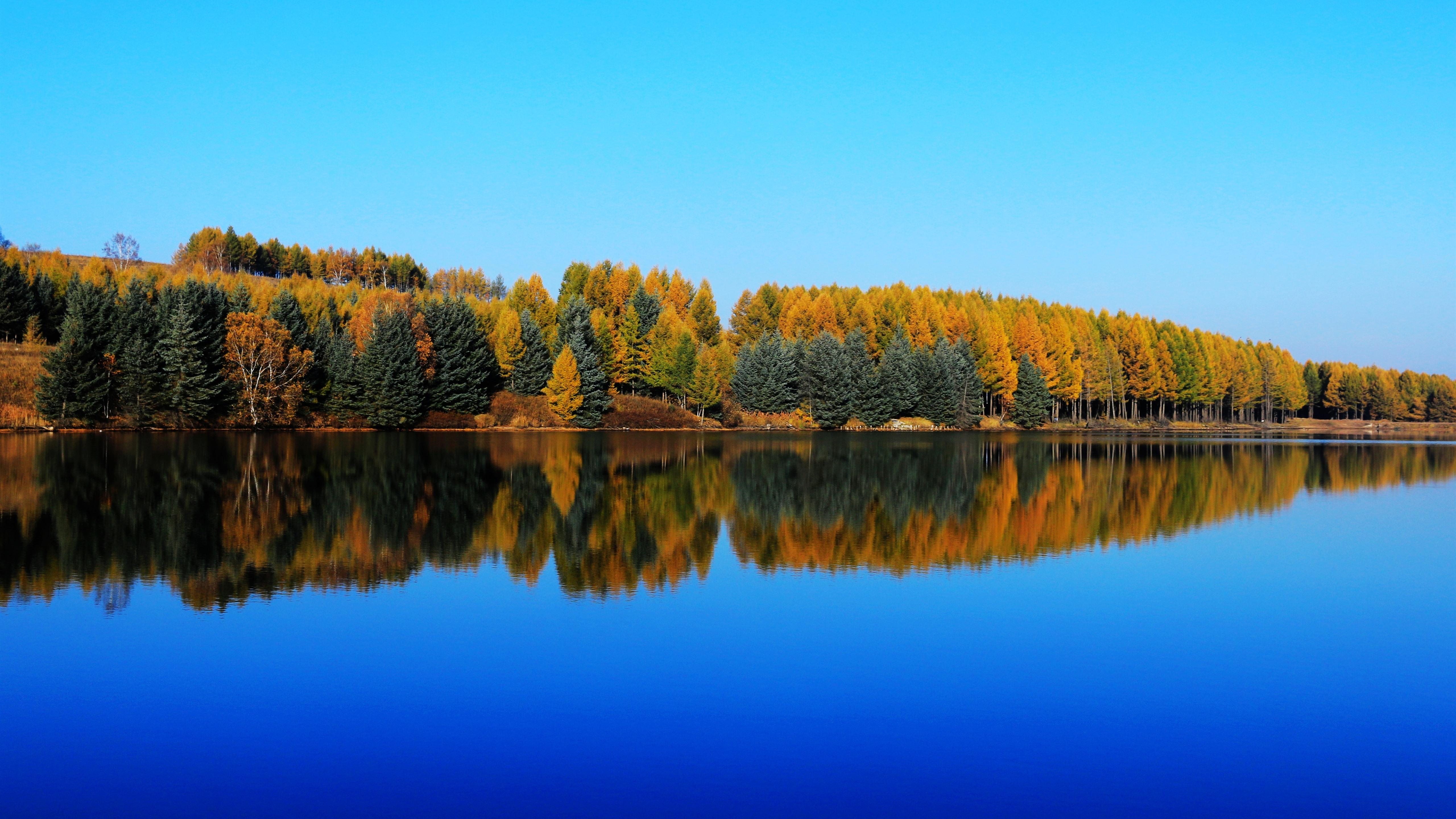 Trees Reflected In The Lake Wallpapers - Wallpaper Cave