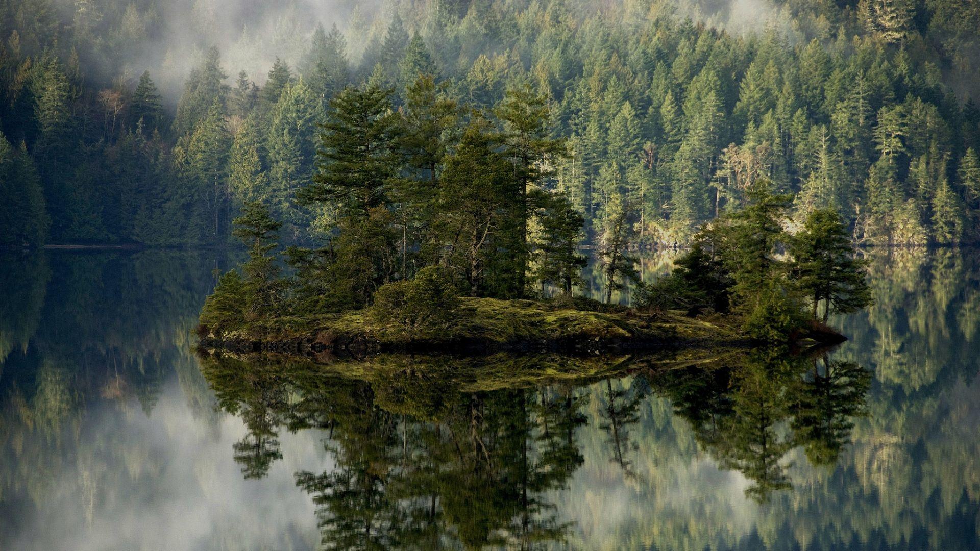 Wallpaper forest, lake, reflection, island, mist