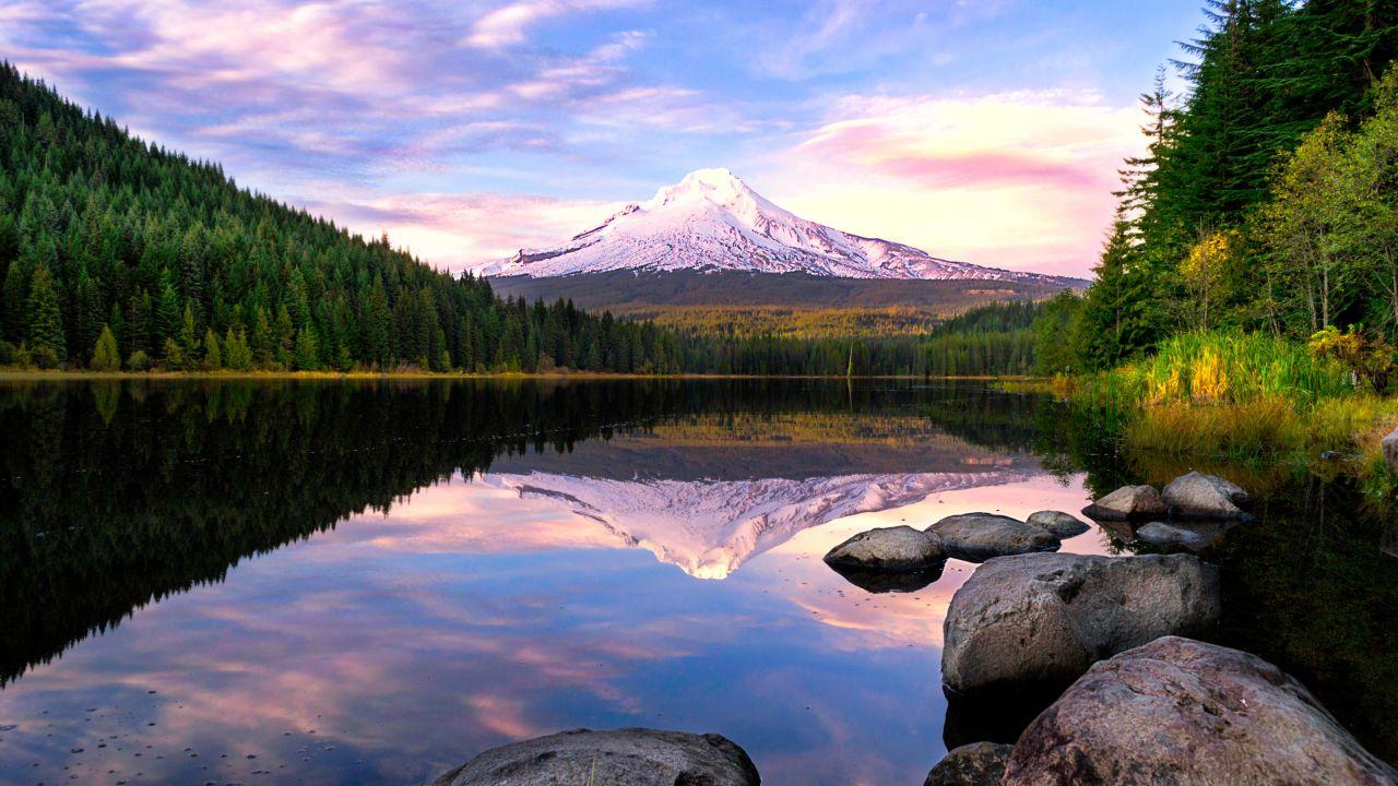 Wallpaper Trillium Lake, Mount Hood, Reflection, Pine trees