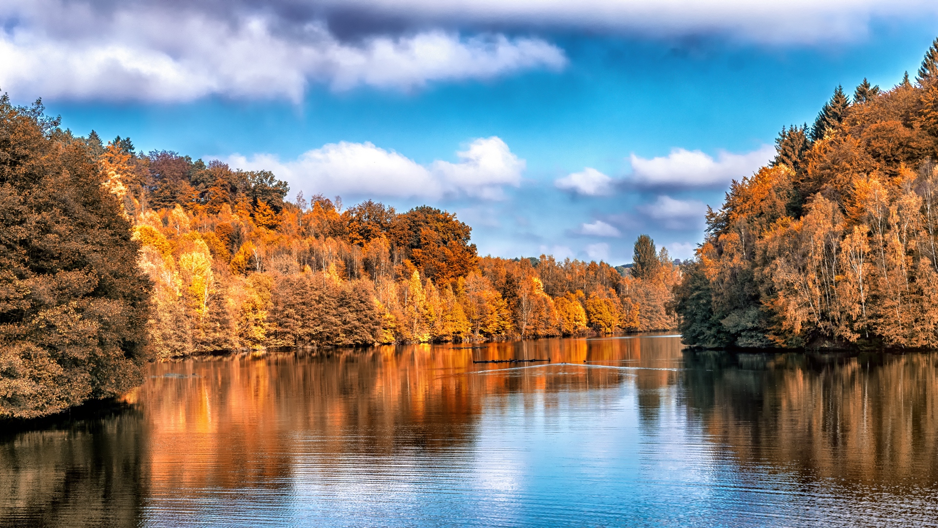Autumn Nature Lake Trees Water Reflection Wallpaper