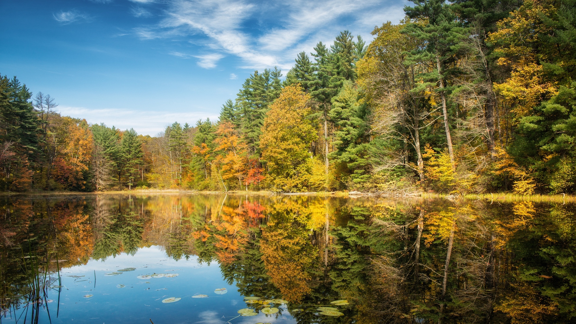 Download wallpaper 1920x1080 lake, forest, autumn, trees