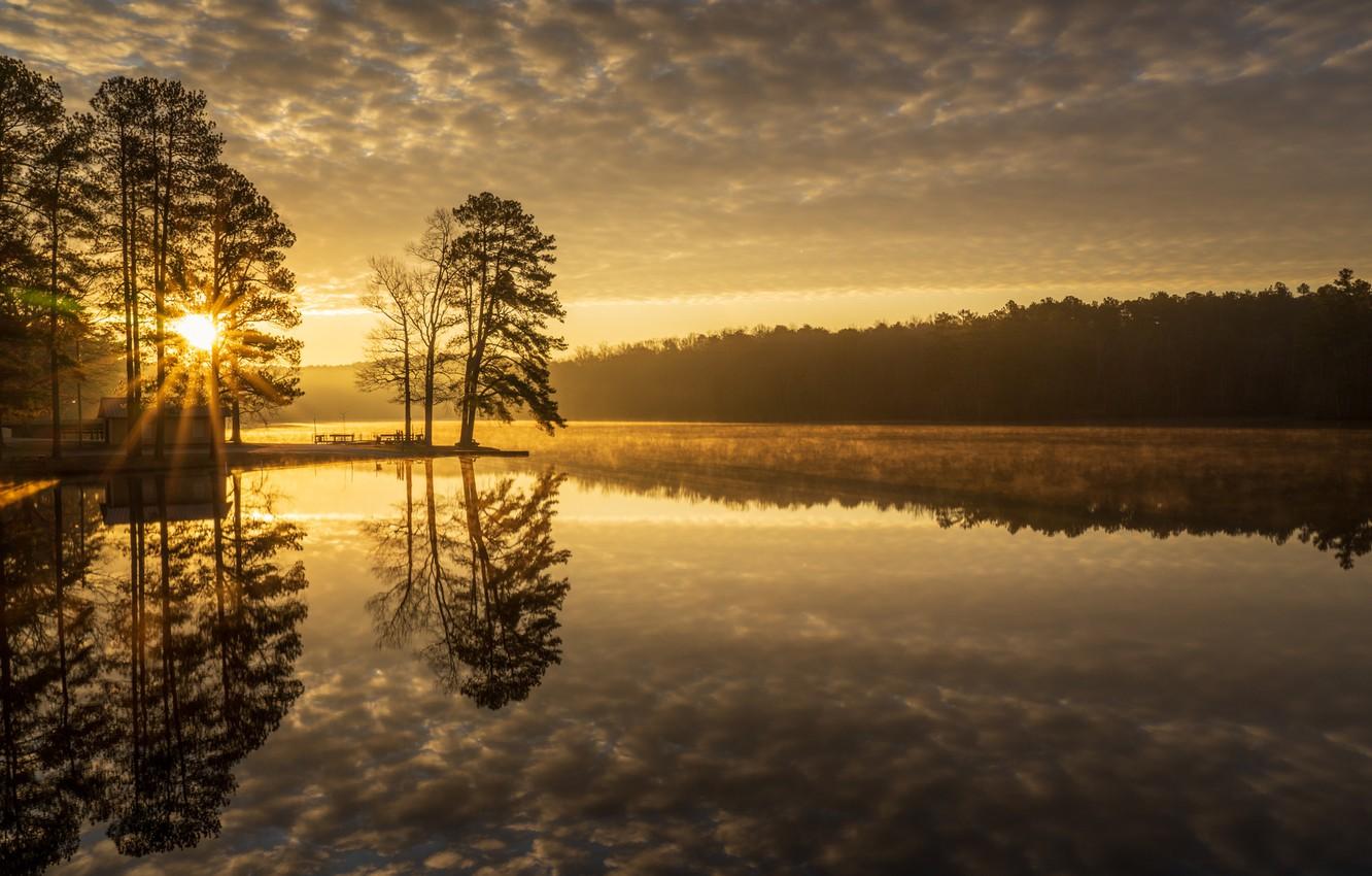 Wallpaper trees, lake, reflection, dawn, morning, Tennessee